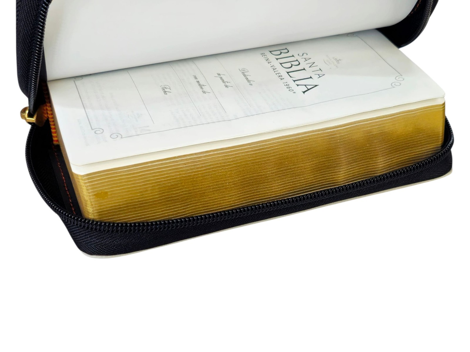 Biblia Chequera Letra 8.5 puntos RV1960 imit piel coral y gris claro