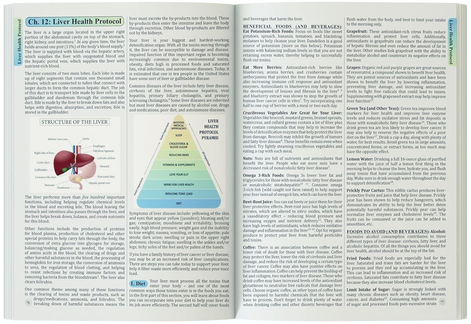 The Holistic Guide to Wellness (paperback with color pictures)