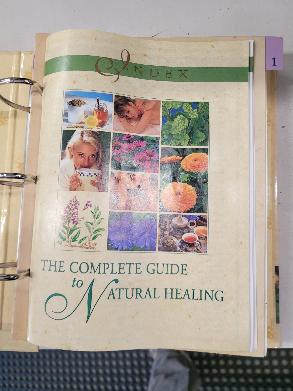 The Complete Guide to Natural Healing Alternative Medicine All 5 Books