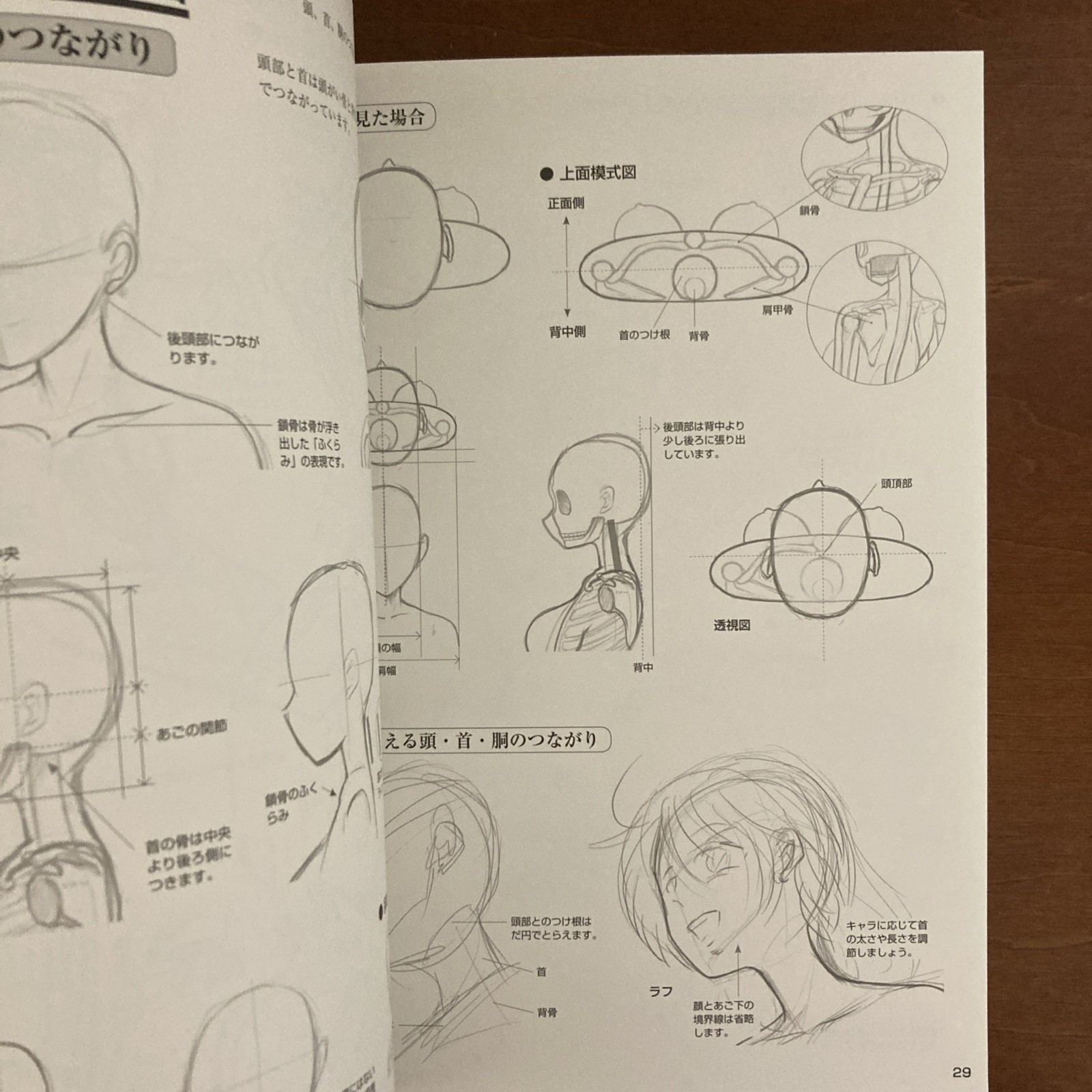 How to Draw a Girl’s Body: Character Bones and Flesh Art Book Illustration