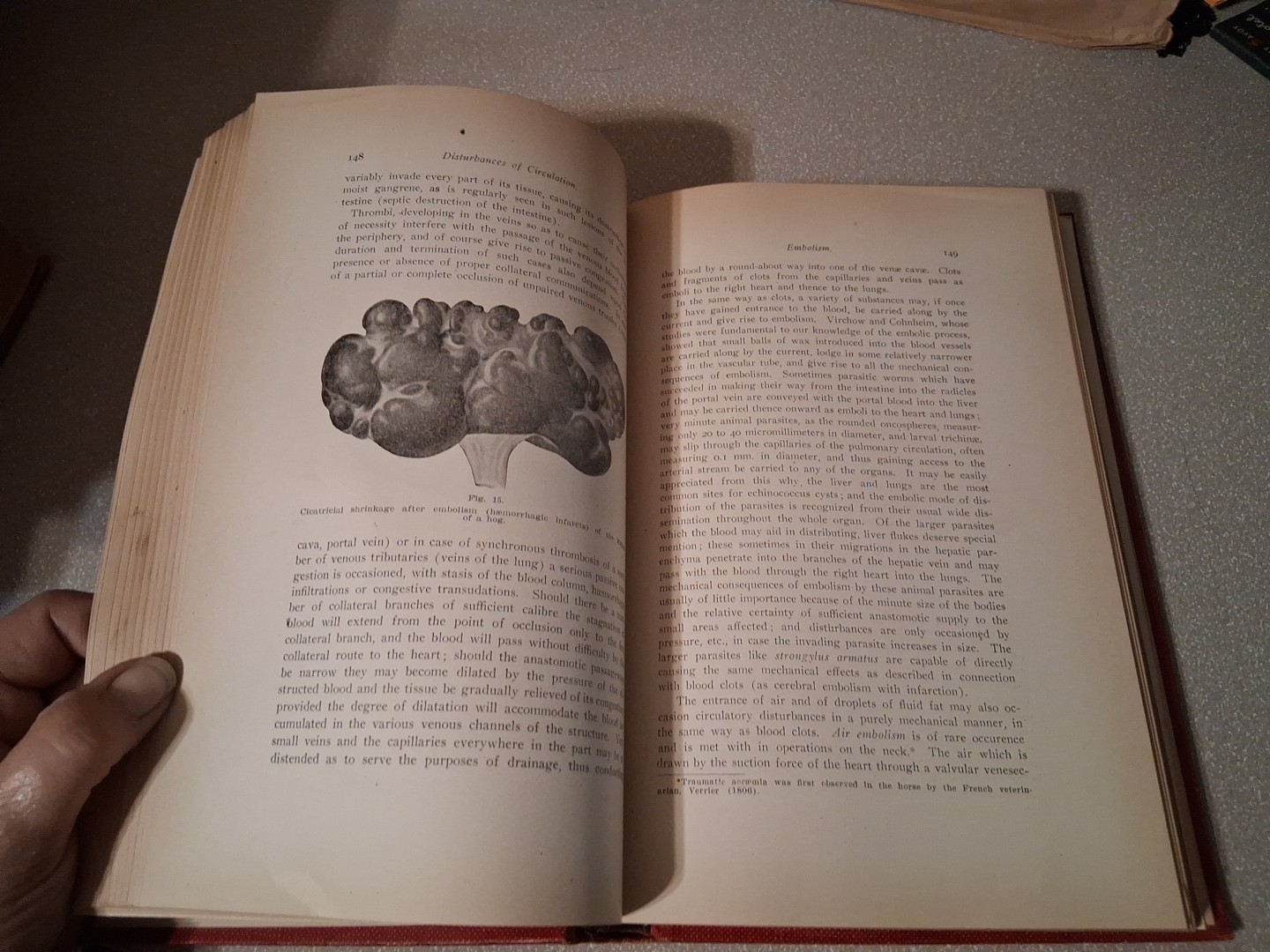 Text Book of Comparative General Pathology Professor Dr Th Kitt Theodor 1906