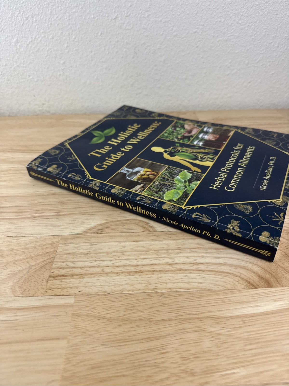 The Holistic Guide to Wellness by Nicole Apelian English Paperback Book