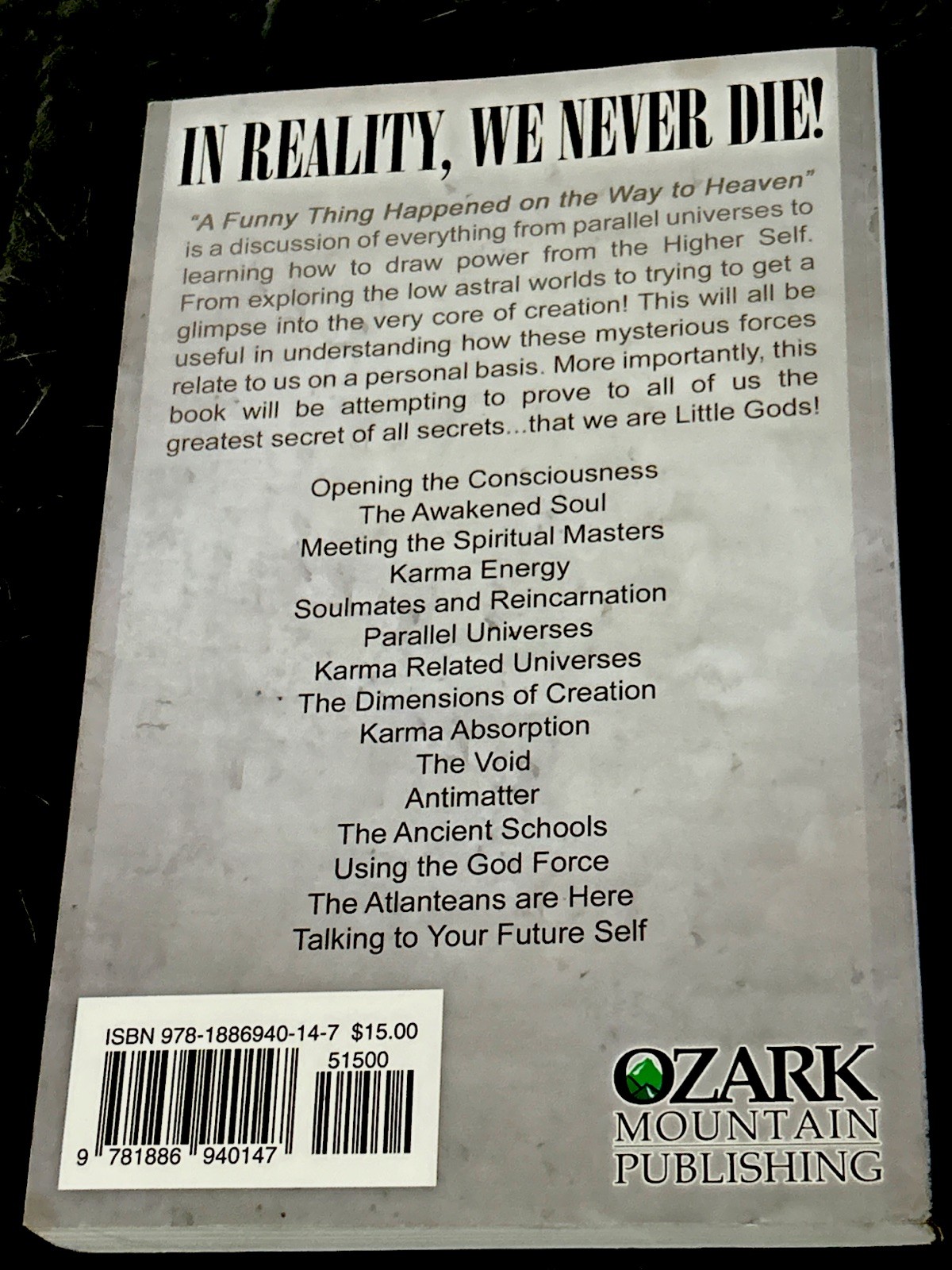 Funny Thing Happened on the Way to Heaven Paperback Grant H. Peal