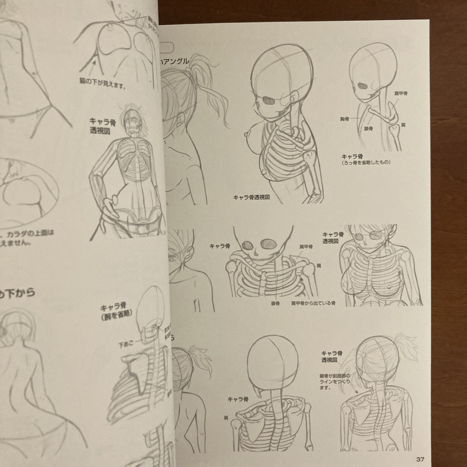 How to Draw a Girl’s Body: Character Bones and Flesh Art Book Illustration