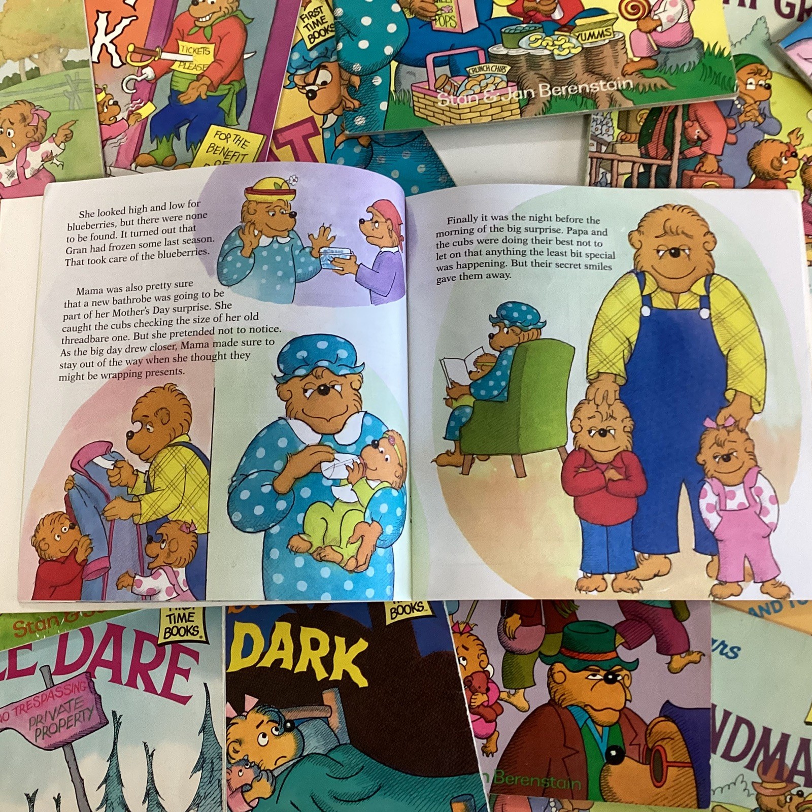 Berenstain Bears Story Children Kids Random Titles Vintage 10 Picture Book Lot