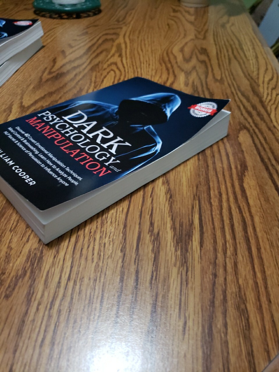 William Cooper Dark Psychology and Manipulation (Paperback) Mind Control New