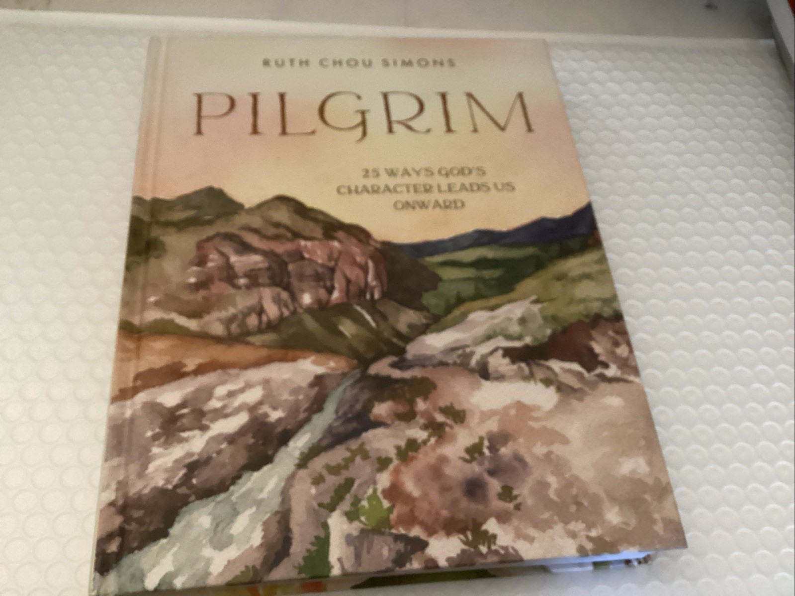 Pilgrim: 25 Ways God’s Character Leads Us Onward by Ruth Chou Simons