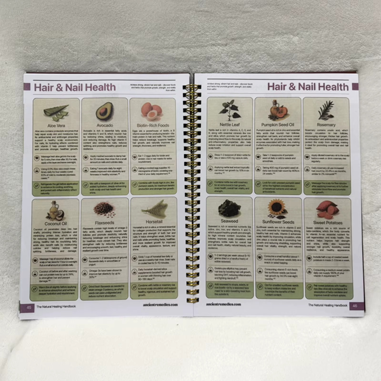 The Natural Healing Handbook – Spiral Bound | Herbal Remedies & Wellness Recipes