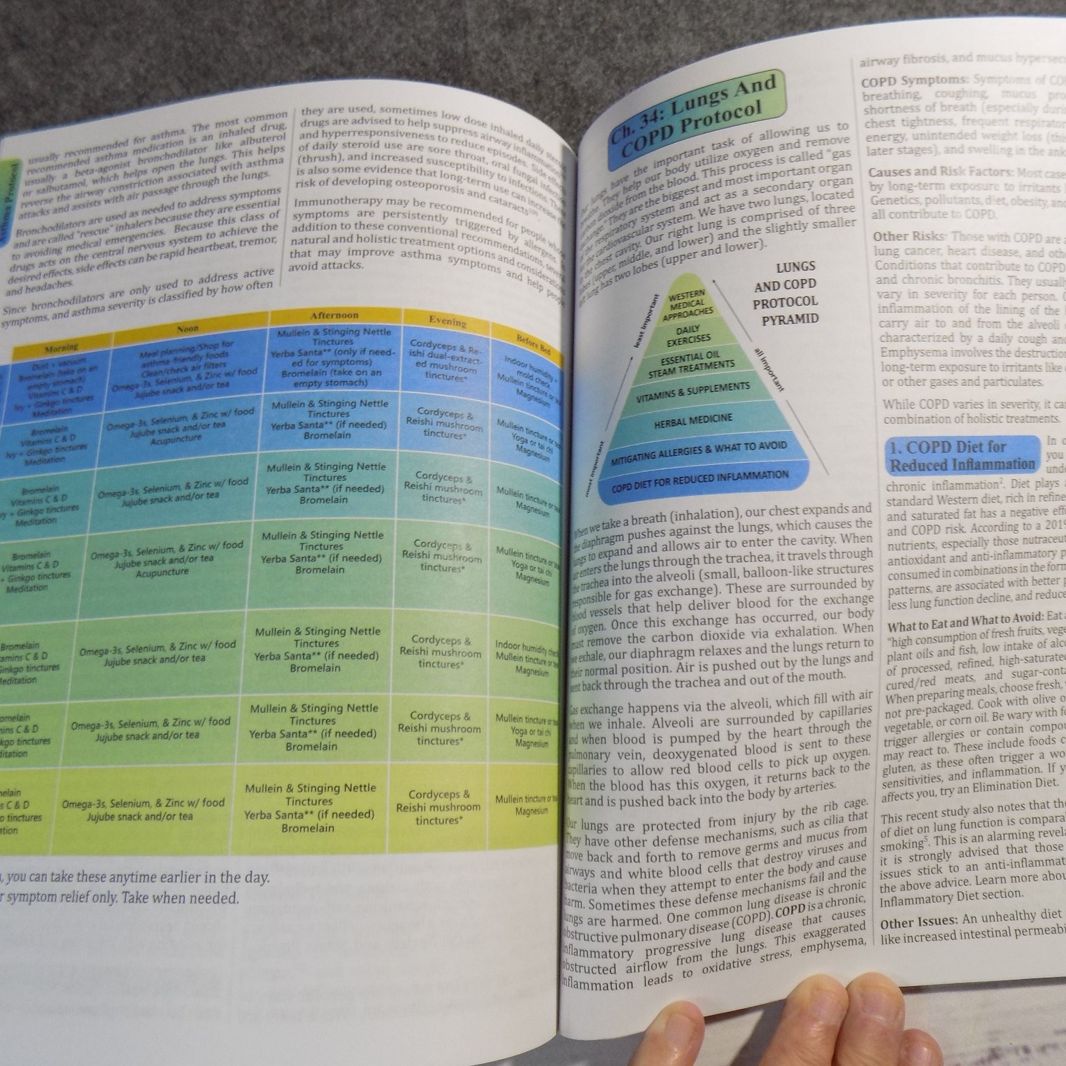 The Holistic Guide to Wellness Apelian 2024 Herbal Protocols Naturopathy Global