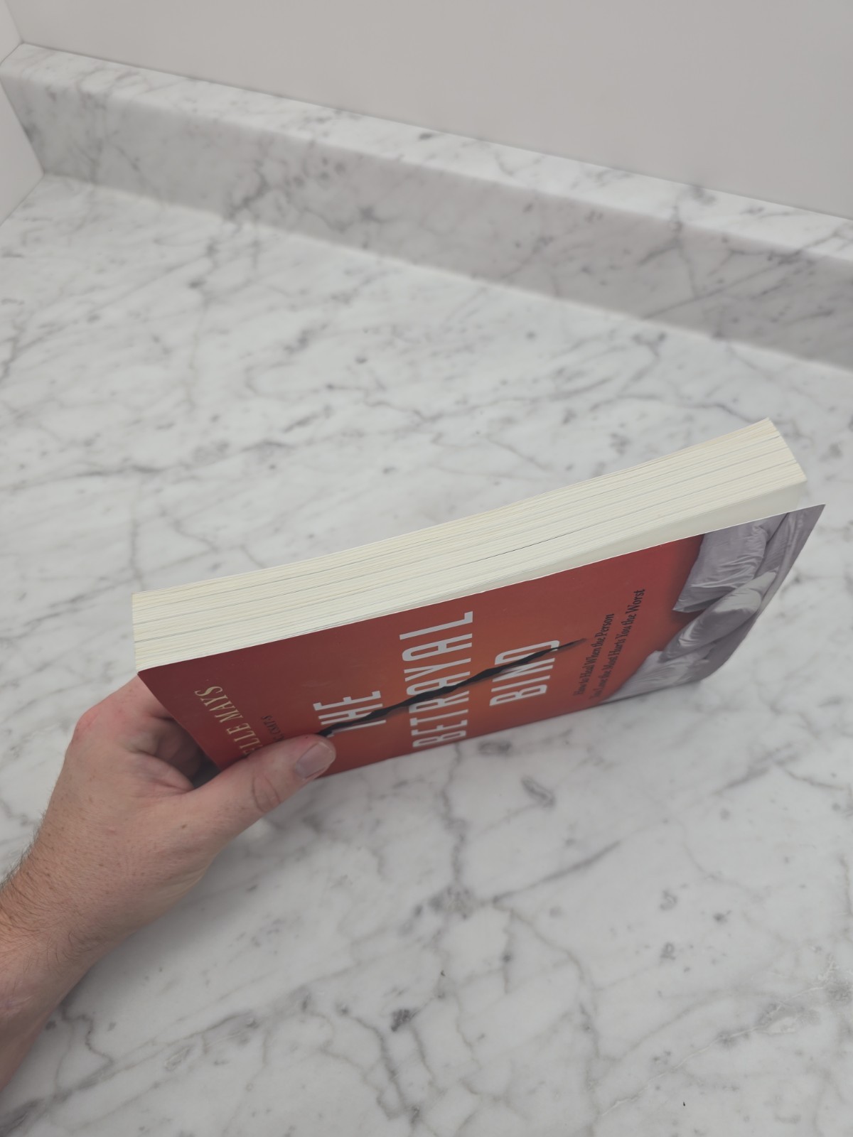 The Betrayal Bind: How to Heal When the Person You Love the Most Hurts You the..