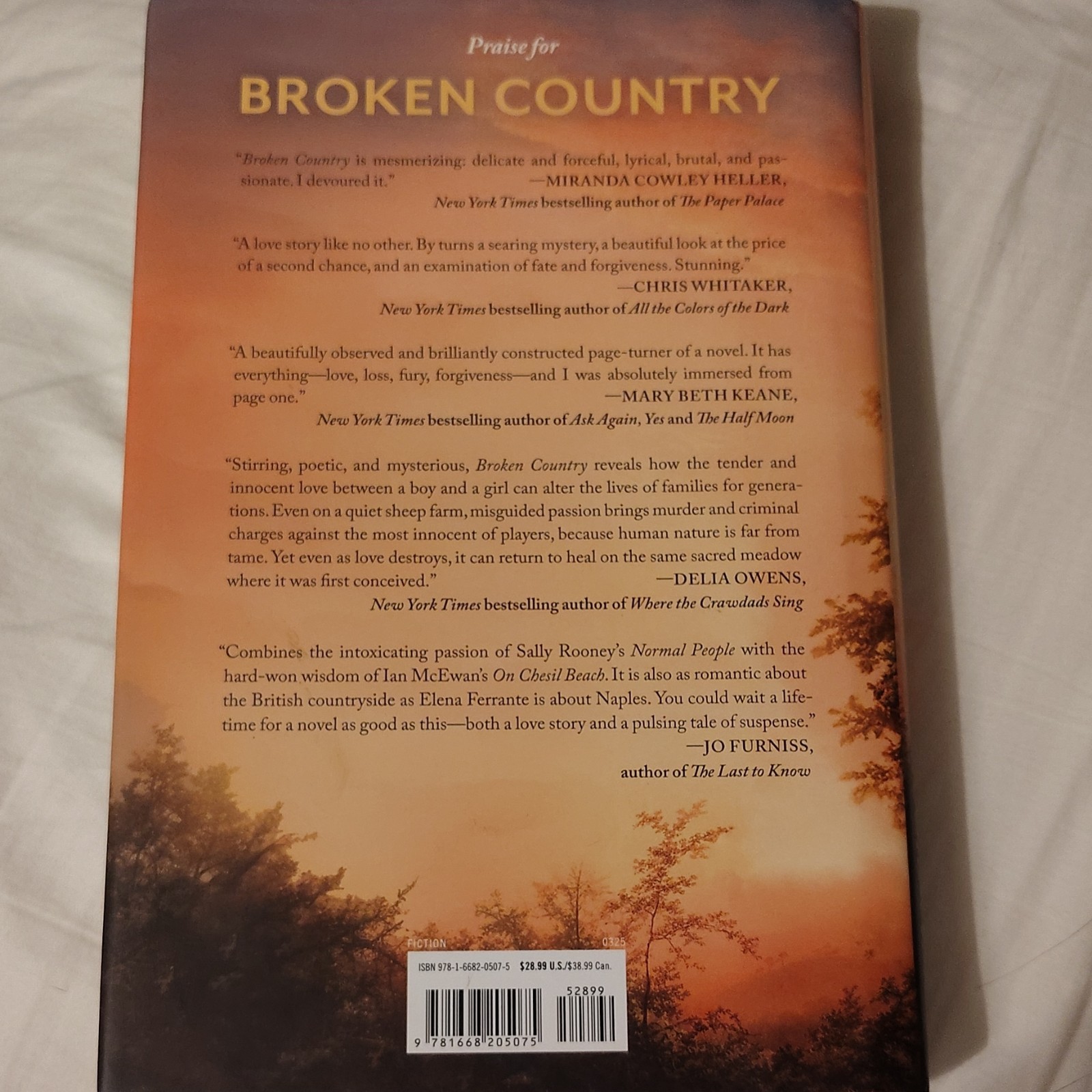 Broken Country by Clare Leslie Hall (Hardcover, 2025) B&N Book Club Exclusive