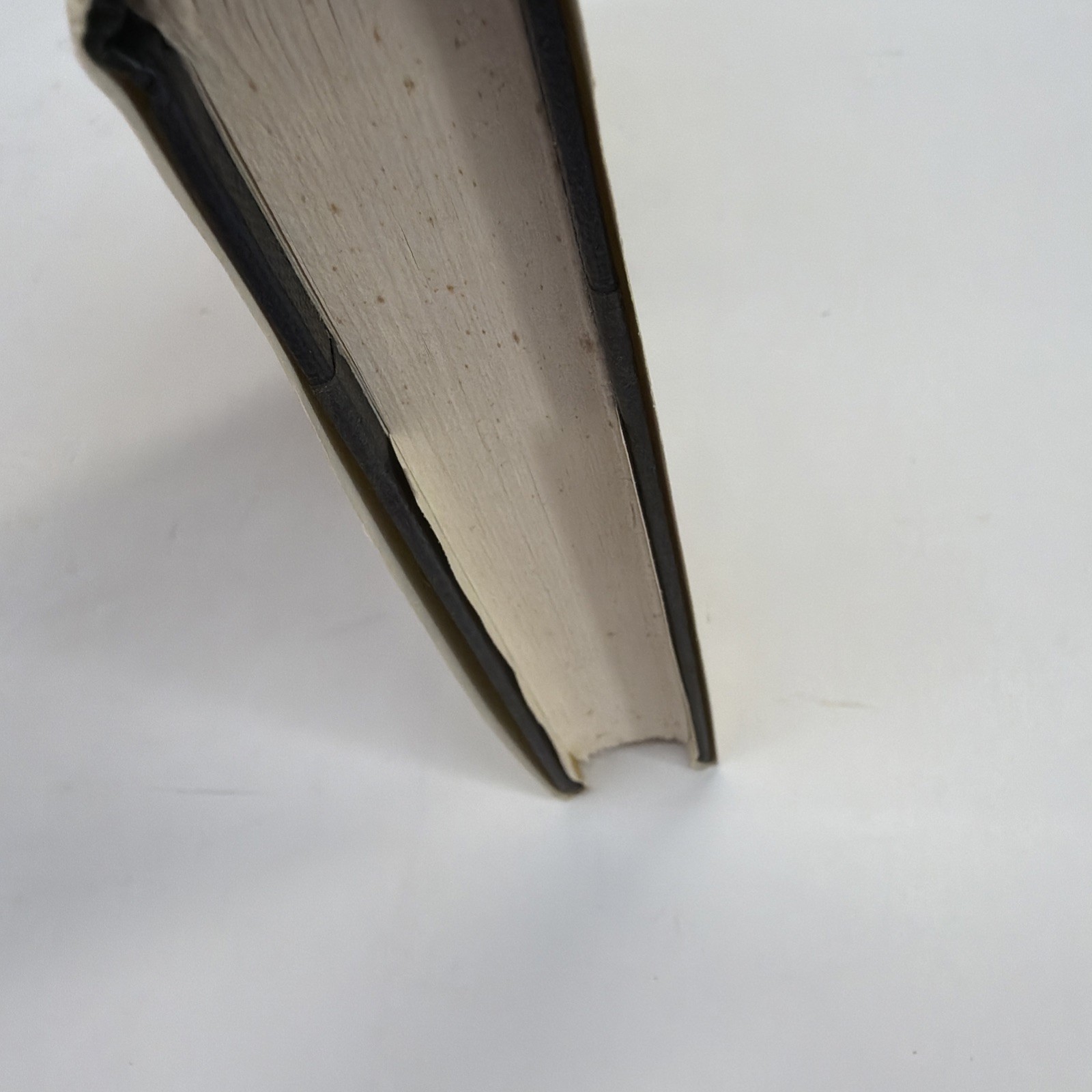 Vintage 1976 Interview With The Vampire Anne Rice First Book Club Edition HCDJ