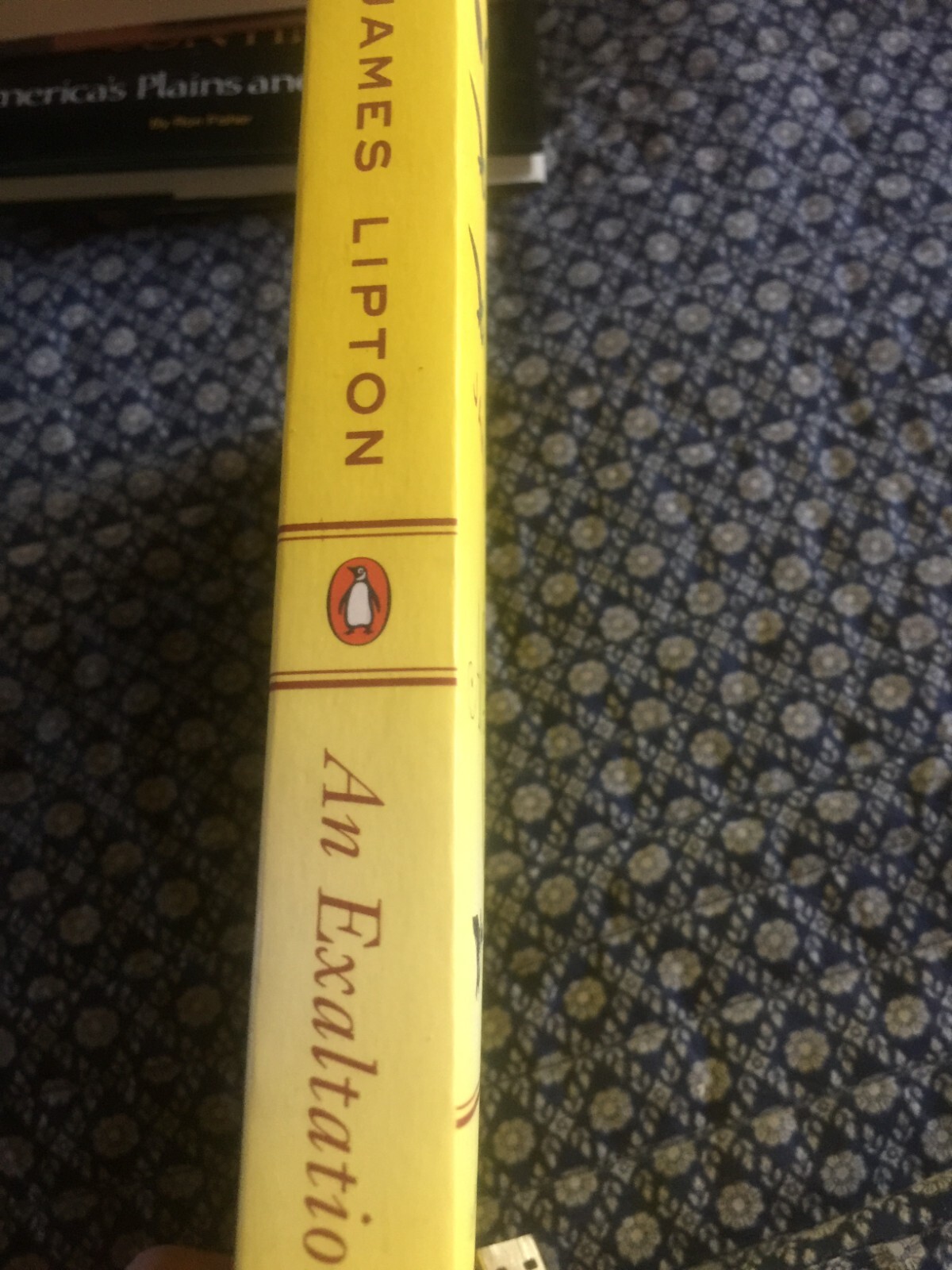 An Exaltation of Larks: The Ultimate Edition – Illustrated 336 pages