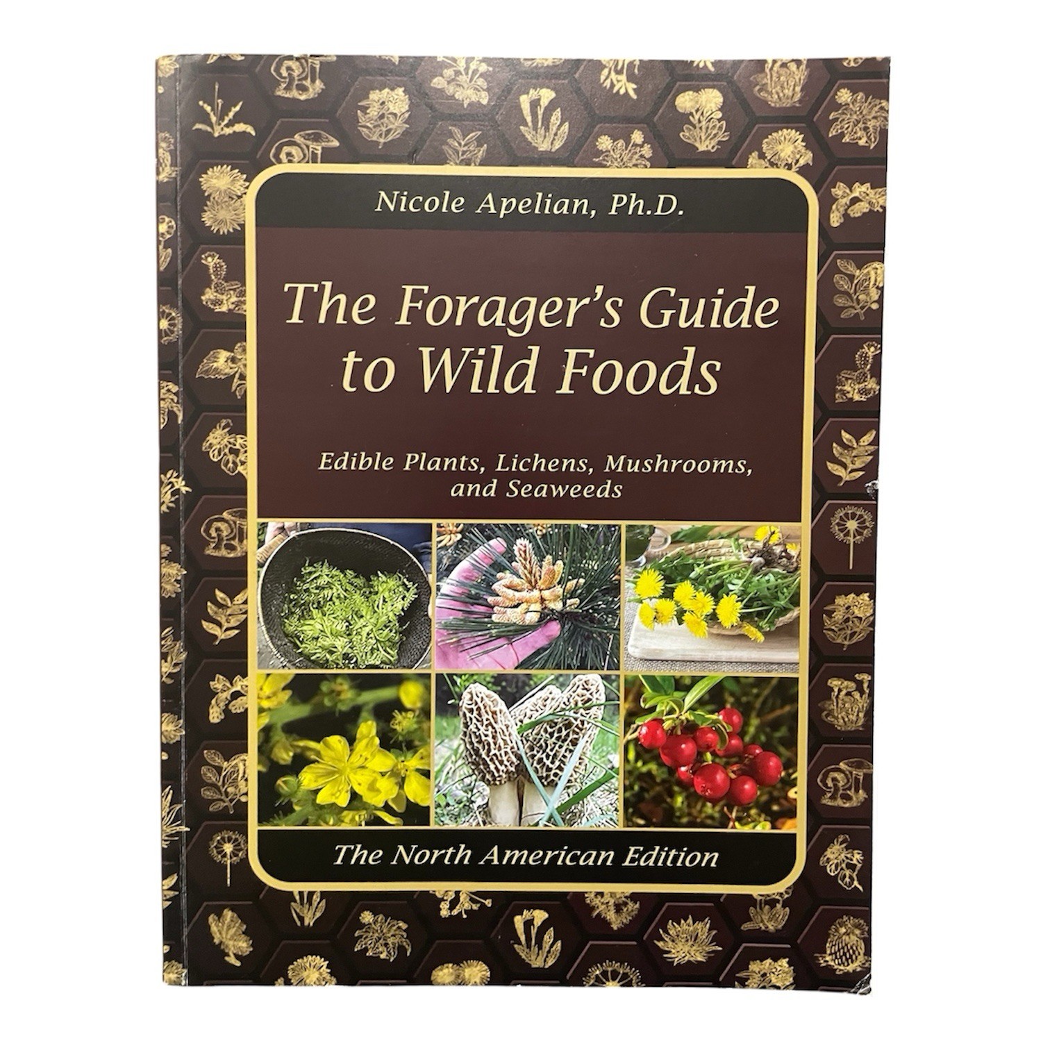 The Forager’s Guide to Wild Foods North American Edition 2021 Nicole Apelian