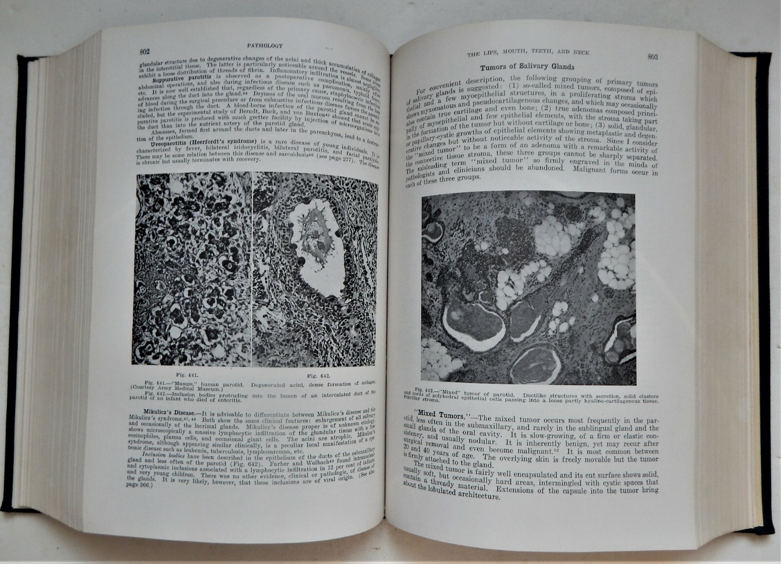 Pathology W A D Anderson 1948 1E Medical MD vintage reference disease photos