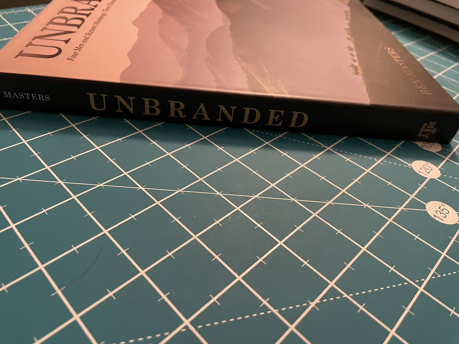 Unbranded by Ben Masters, Ben Thamer, Jonathan C. Fitzsimons, Thomas Glover and