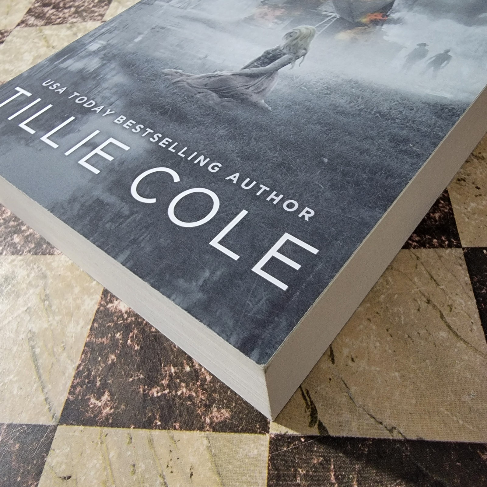 Crux Untamed by Tillie Cole (2018, Trade Paperback)