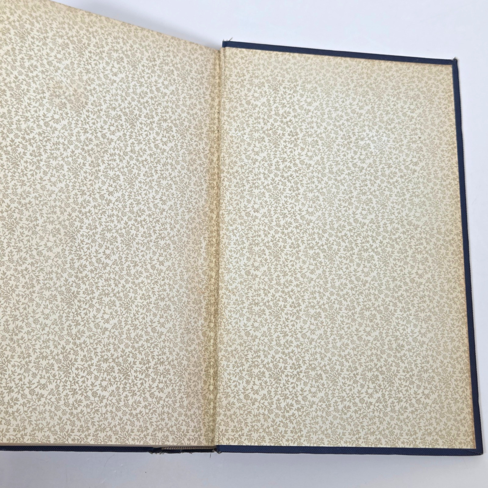 Handbook Pathological Anatomy Histology Delafield Prudden 1889 HC Wood Engraving