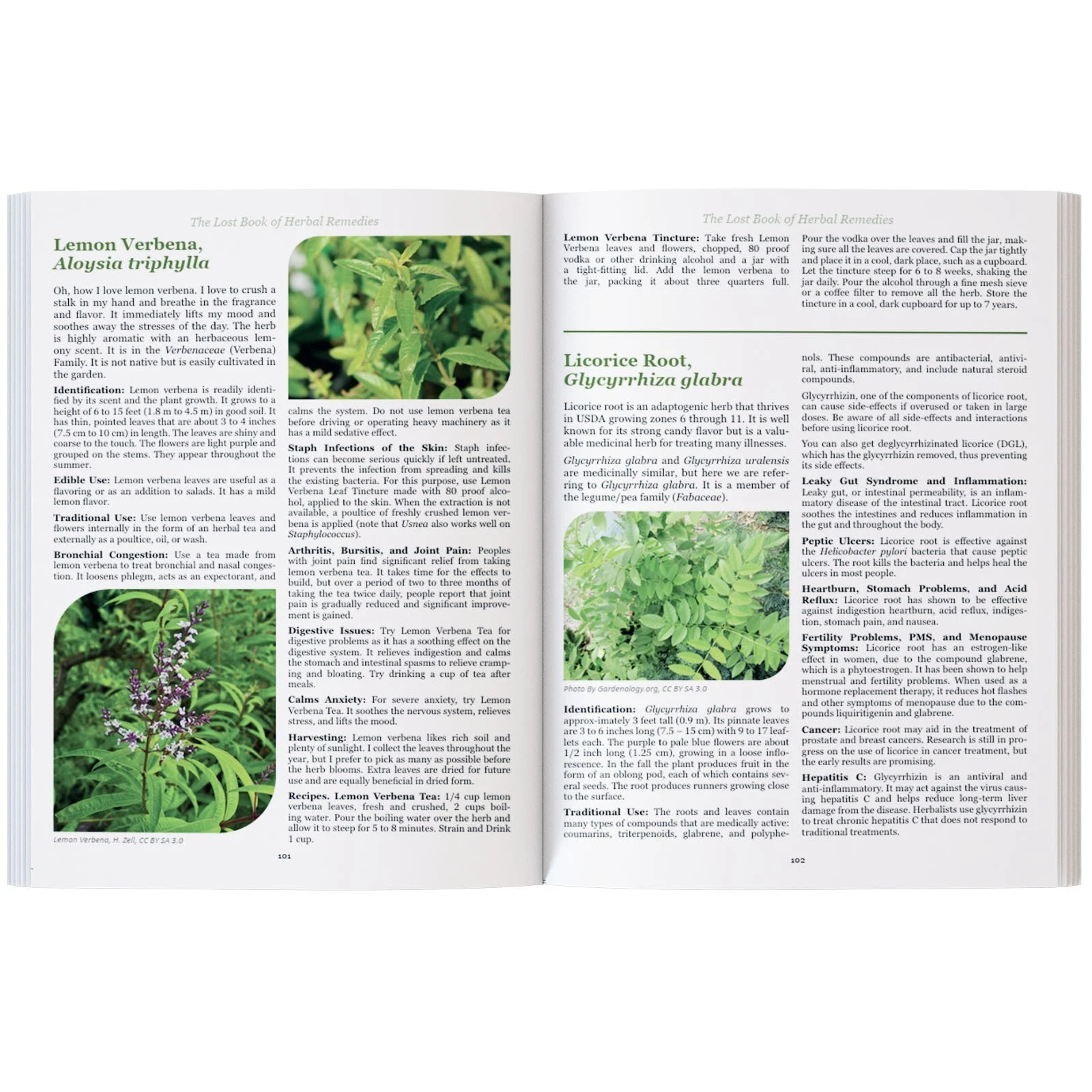 The Lost Book of Herbal Remedies-Paperback with Color Pictures