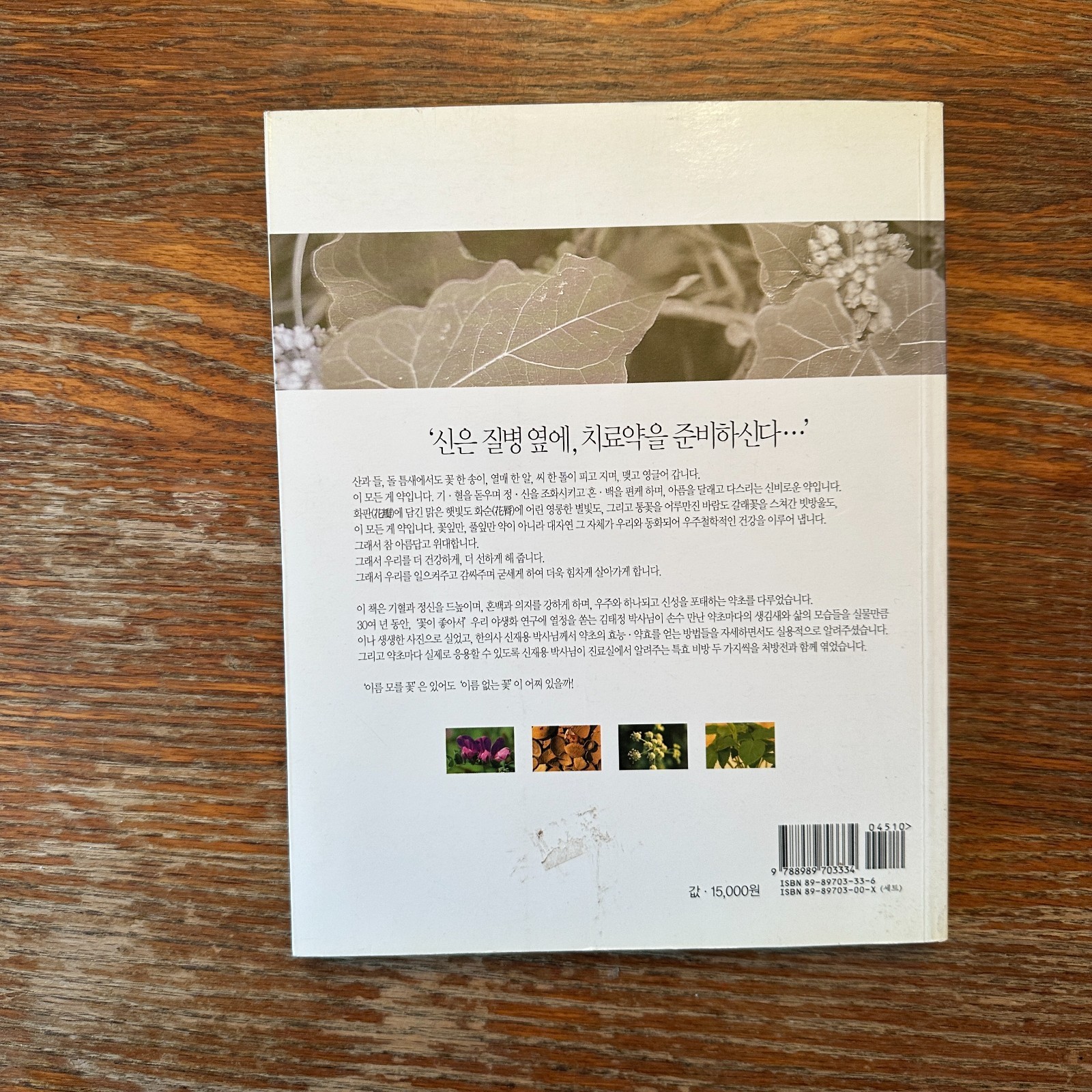 Traditional Korean Medicine by Kim Tae-Yeong 2003 Paperback Book VG