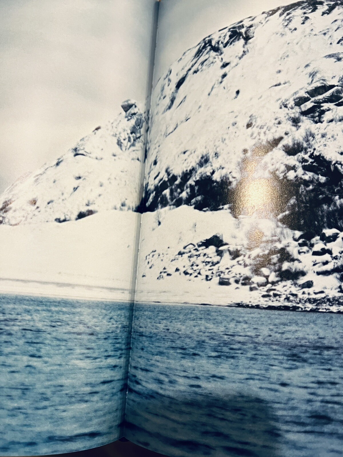 NOMA: Time & Place in Nordic Cuisine; Brand New, 367 pages.