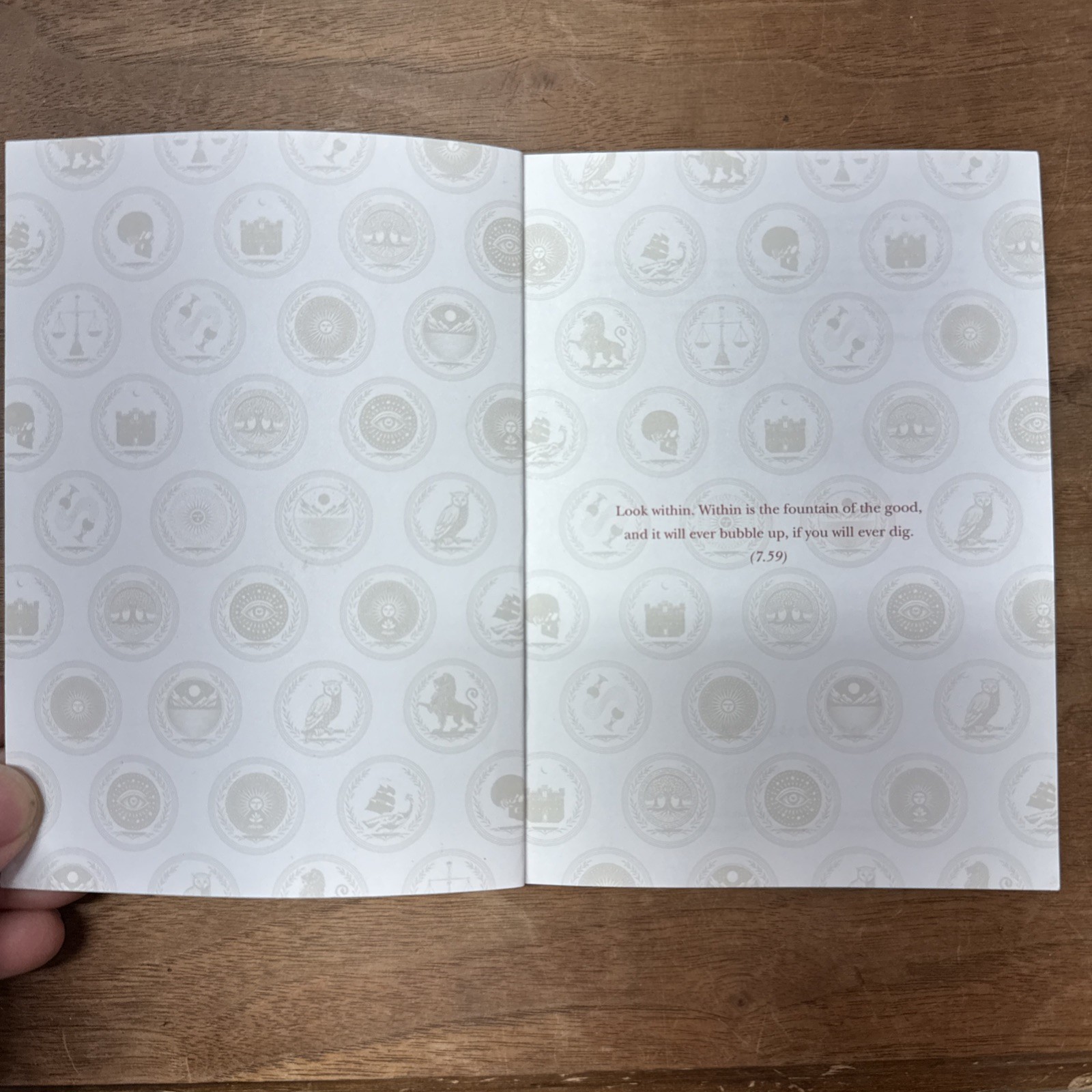 The Meditations of Marcus Aurelius, Illustrated