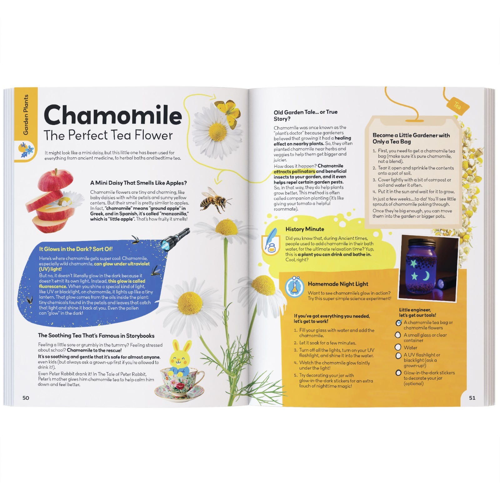 My First Plant Book