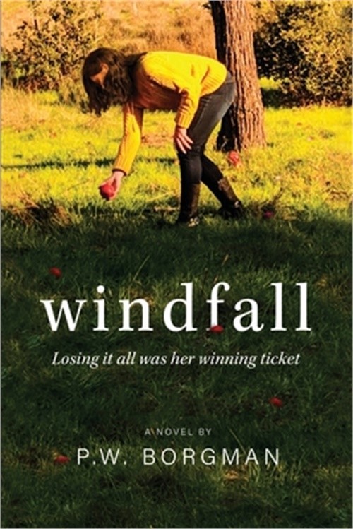 Windfall (Paperback or Softback)
