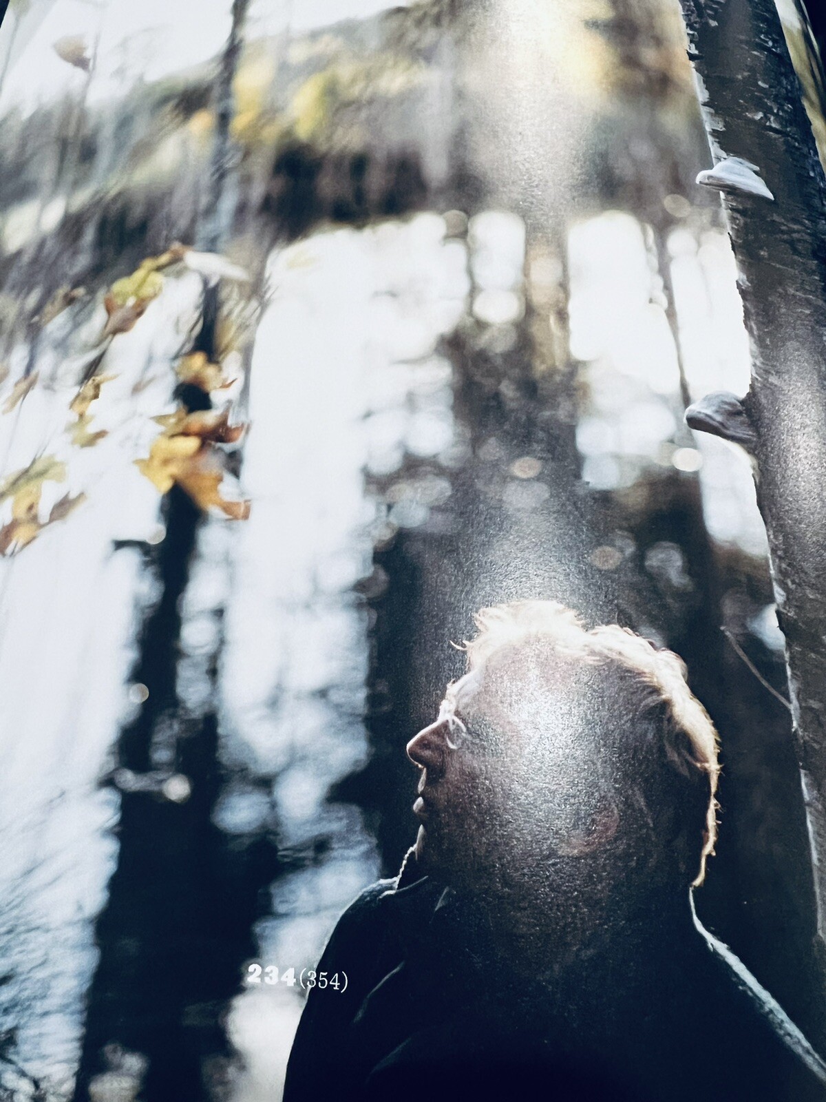 NOMA: Time & Place in Nordic Cuisine; Brand New, 367 pages.