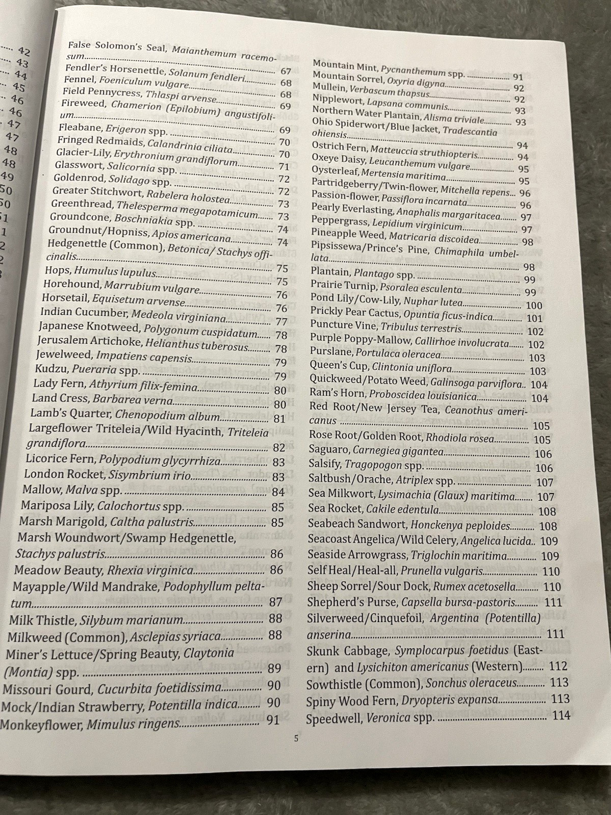 The Forager’s Guide to Wild Foods North American Edition 2021 Nicole Apelian