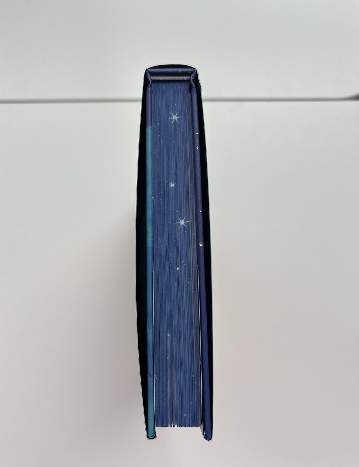 BooksforDaysCrate – Ruckus by L.J. Shen