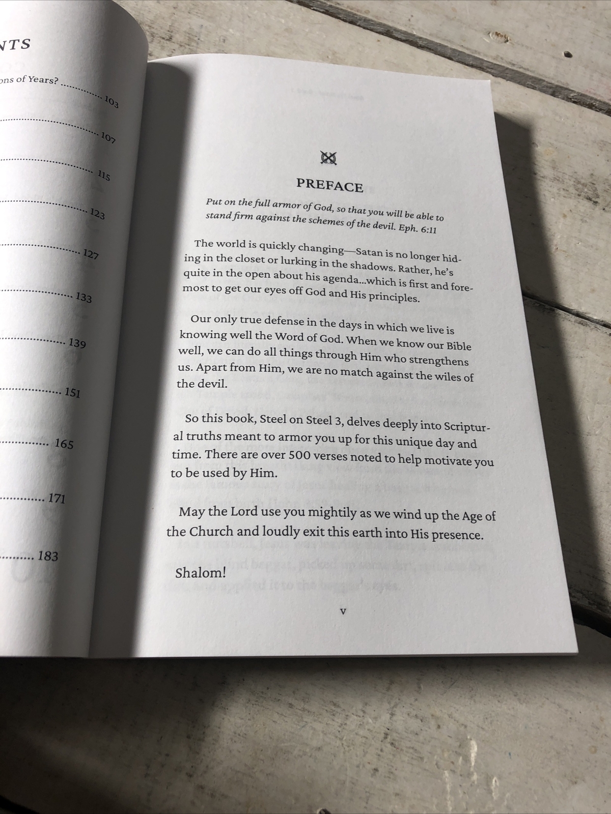 Steel on Steel Book 3 – Perfect Paperback By Bill Perkins