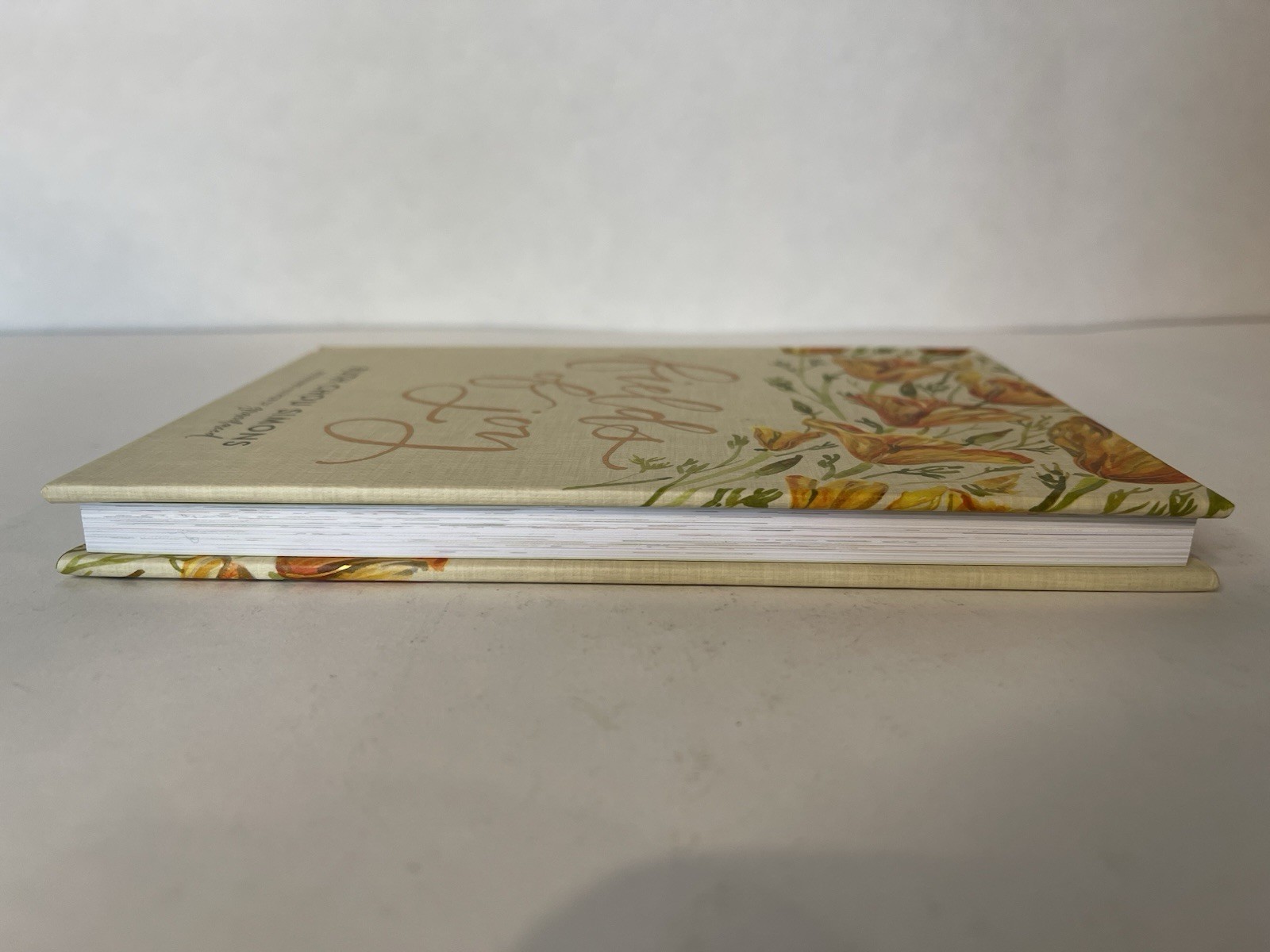 Ruth Chou Simons Fields of Joy (Hardback)