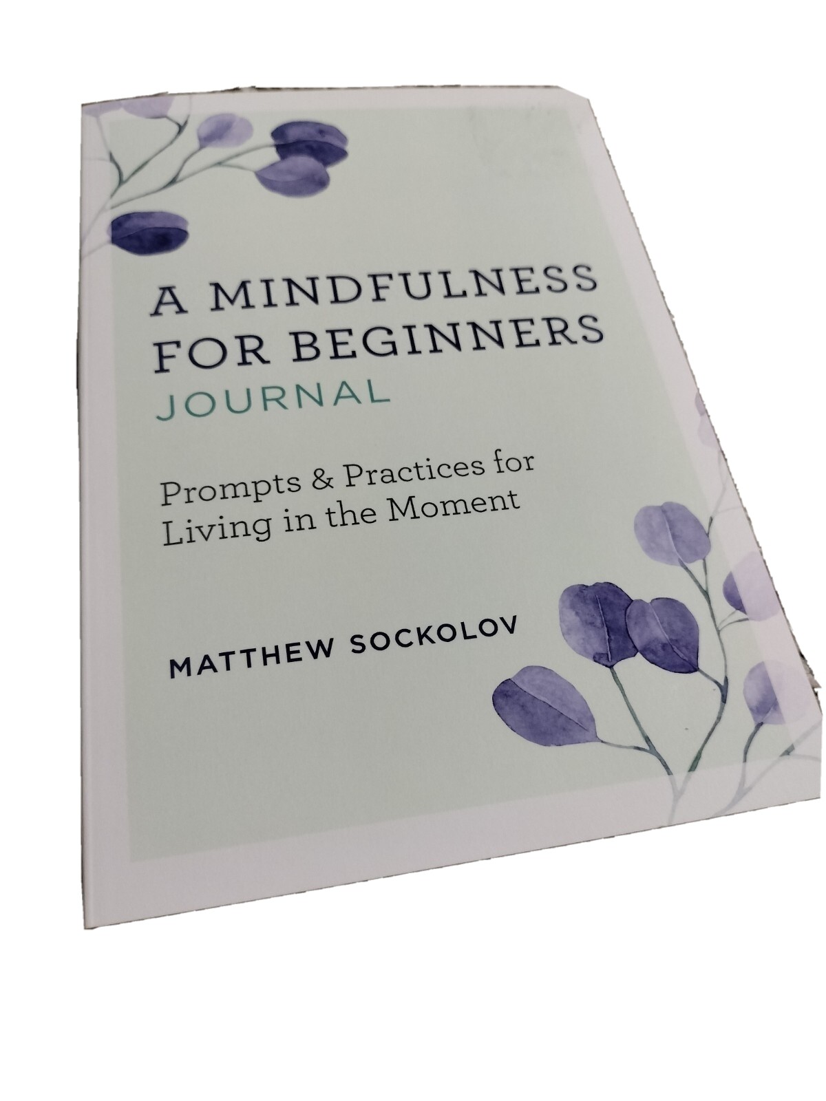 A Mindfulness for Beginners Journal: Prompts and Practices for Living In Moment
