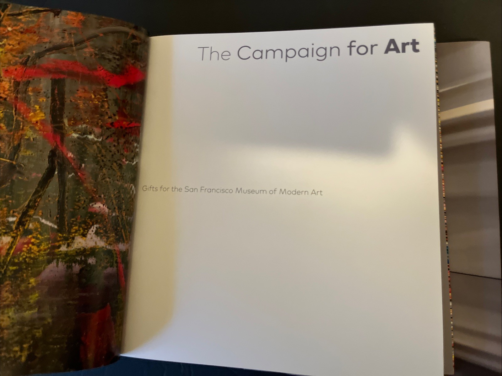San Francisco MOMA Set Of 2 Books~ For Our Time & Compaign For Art