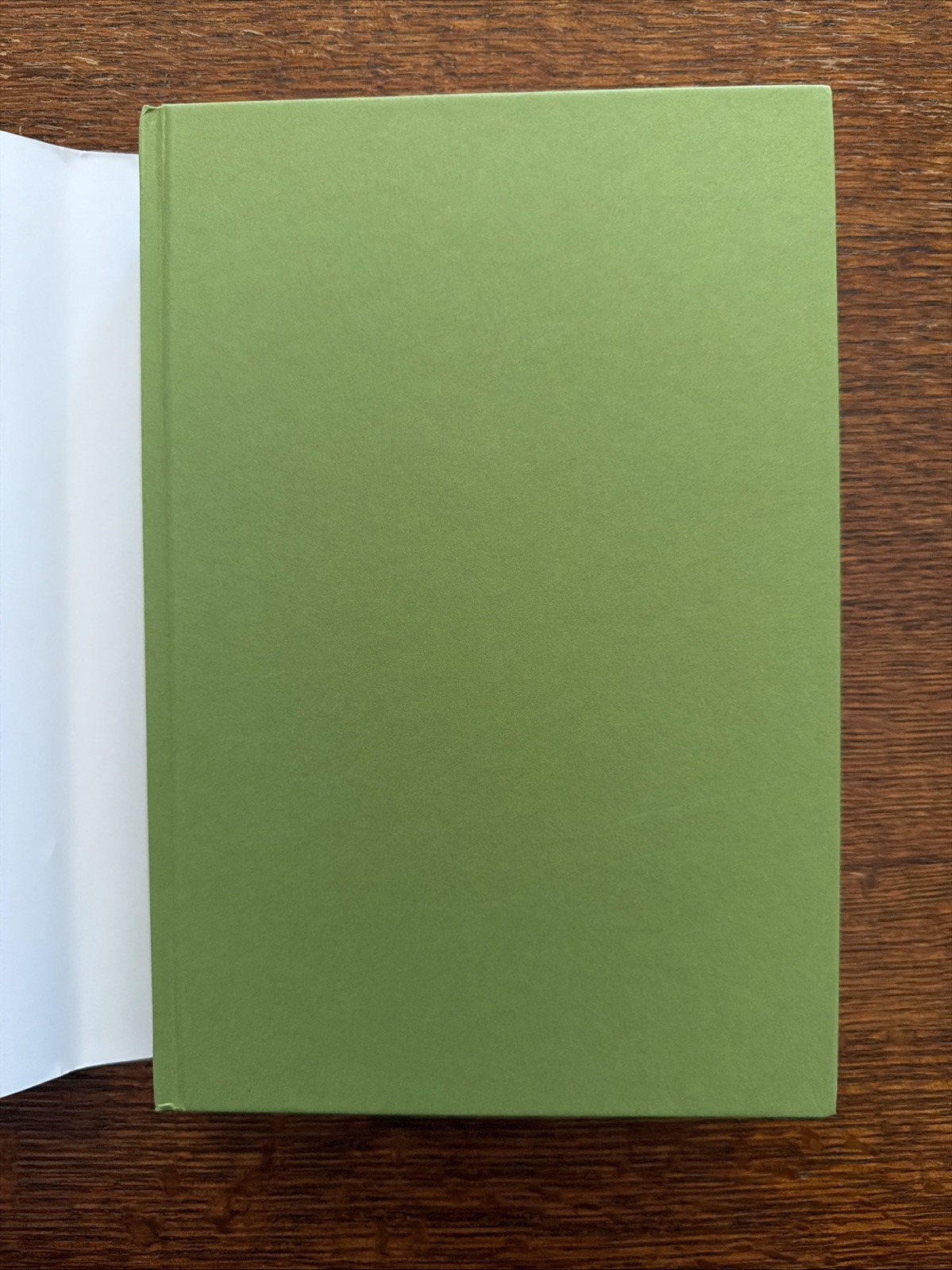 Lotus Shoes : A Novel by Jane Yang (2025, Hardcover)
