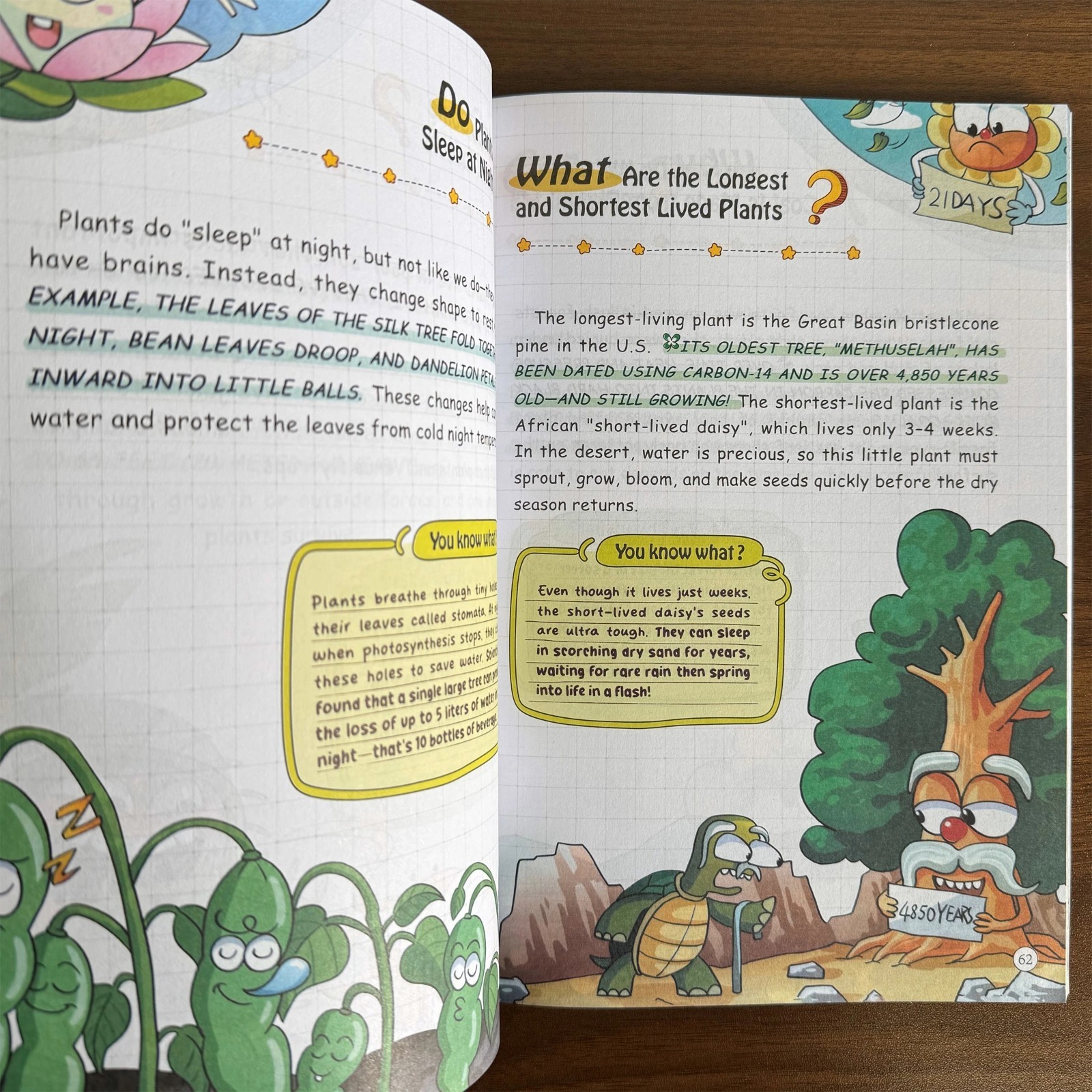 100000 Whys: Building the Ultimate Brain for Kids book Fun Science English
