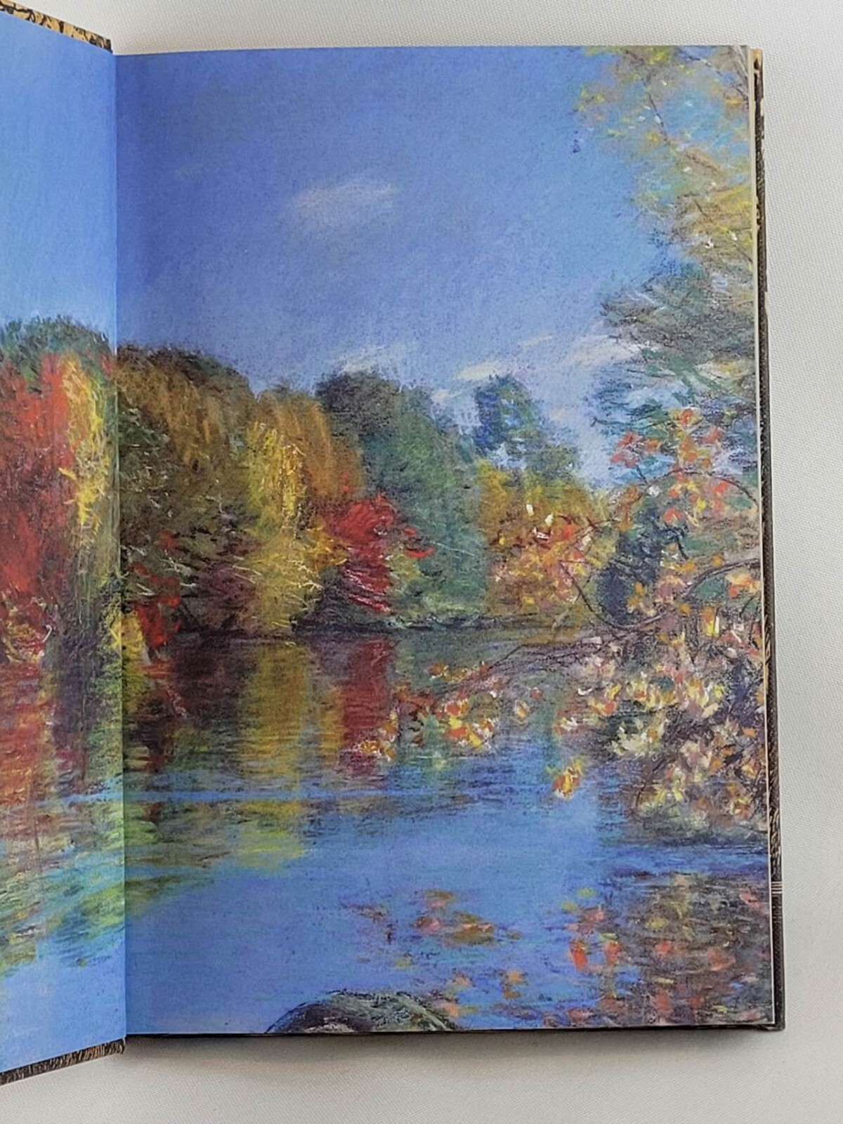 THE ILLUSTRATED WALDEN or Life in the Woods Henry David Thoreau Illustrated NEW
