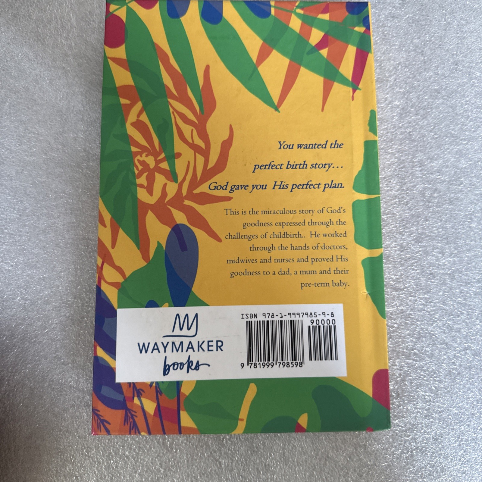 Teo’s Timing – Cheryl Adamos Noutch (English) Hardcover Book
