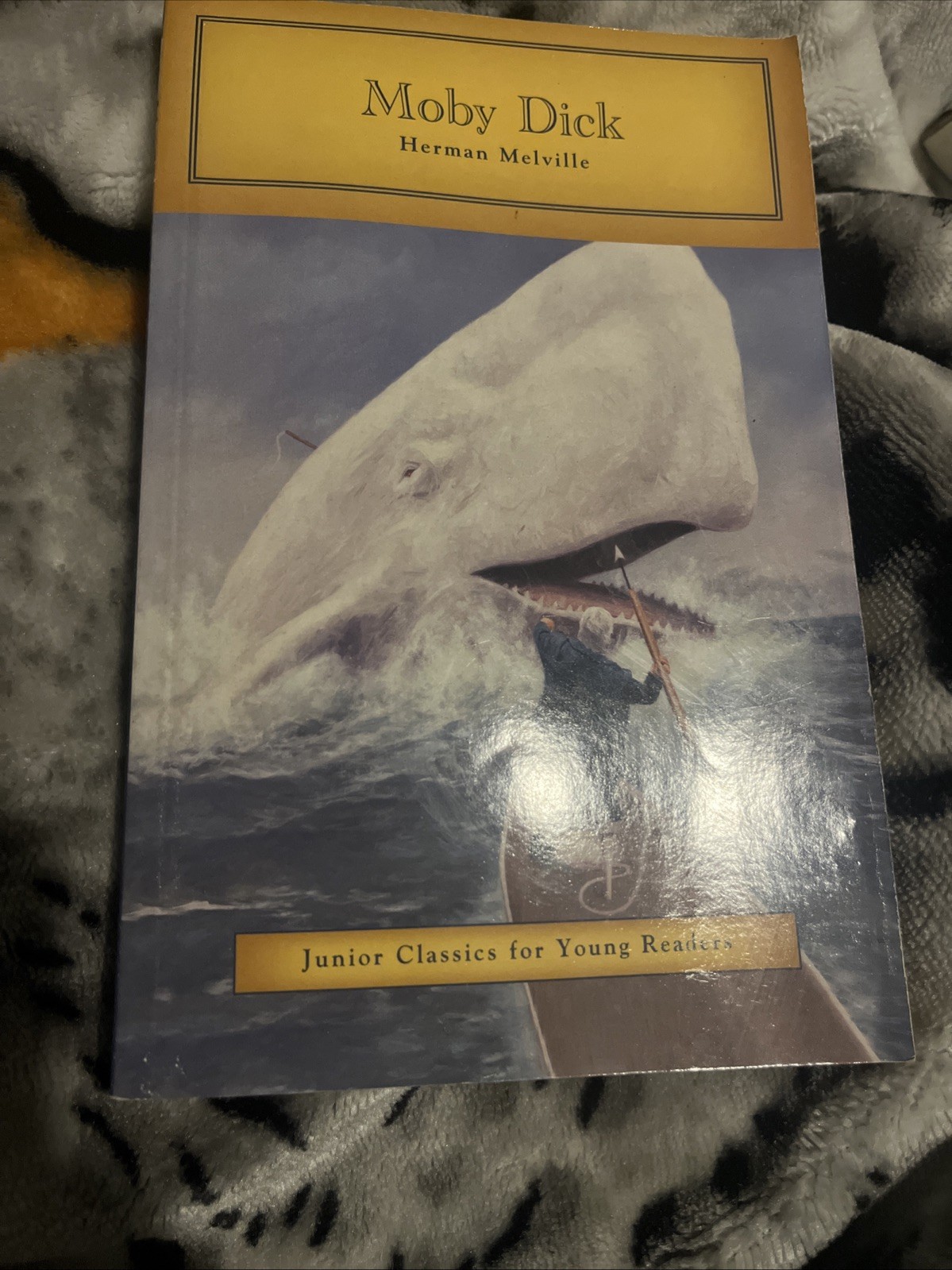 Money Dick By Herman Melville Junior Classics For Young Readers Paper Back