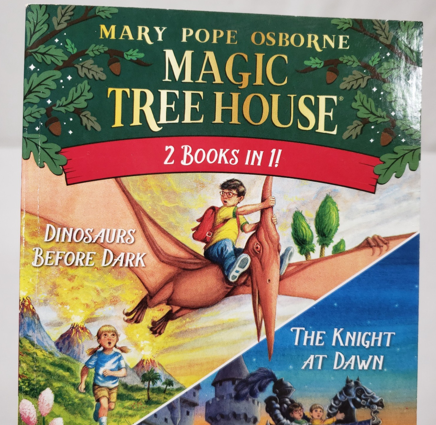 Magic Tree House Books Lot Of 20 Series Set Kids Chapter Merlin Missions Osborne