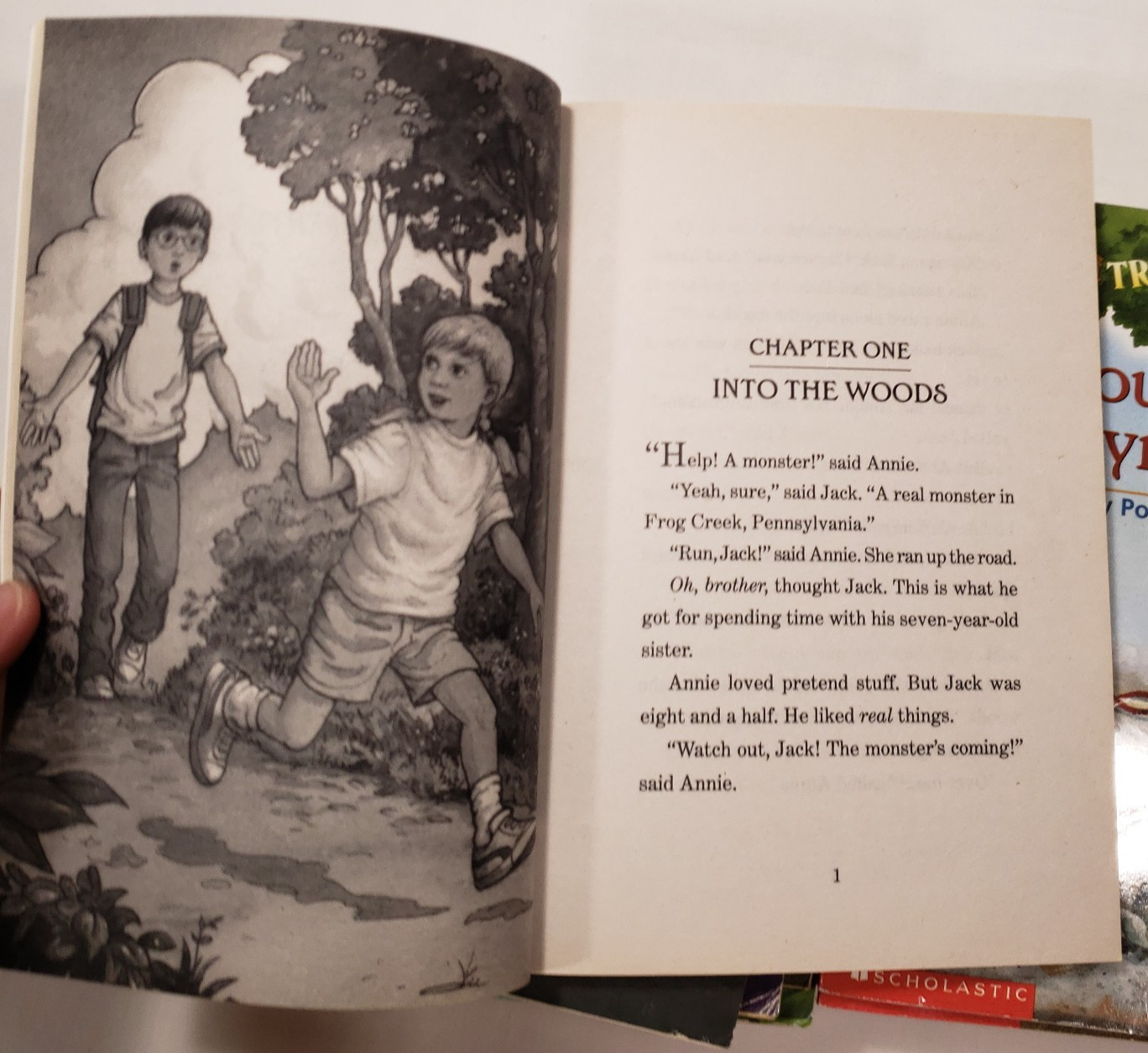 Magic Tree House Books Lot Of 20 Series Set Kids Chapter Merlin Missions Osborne