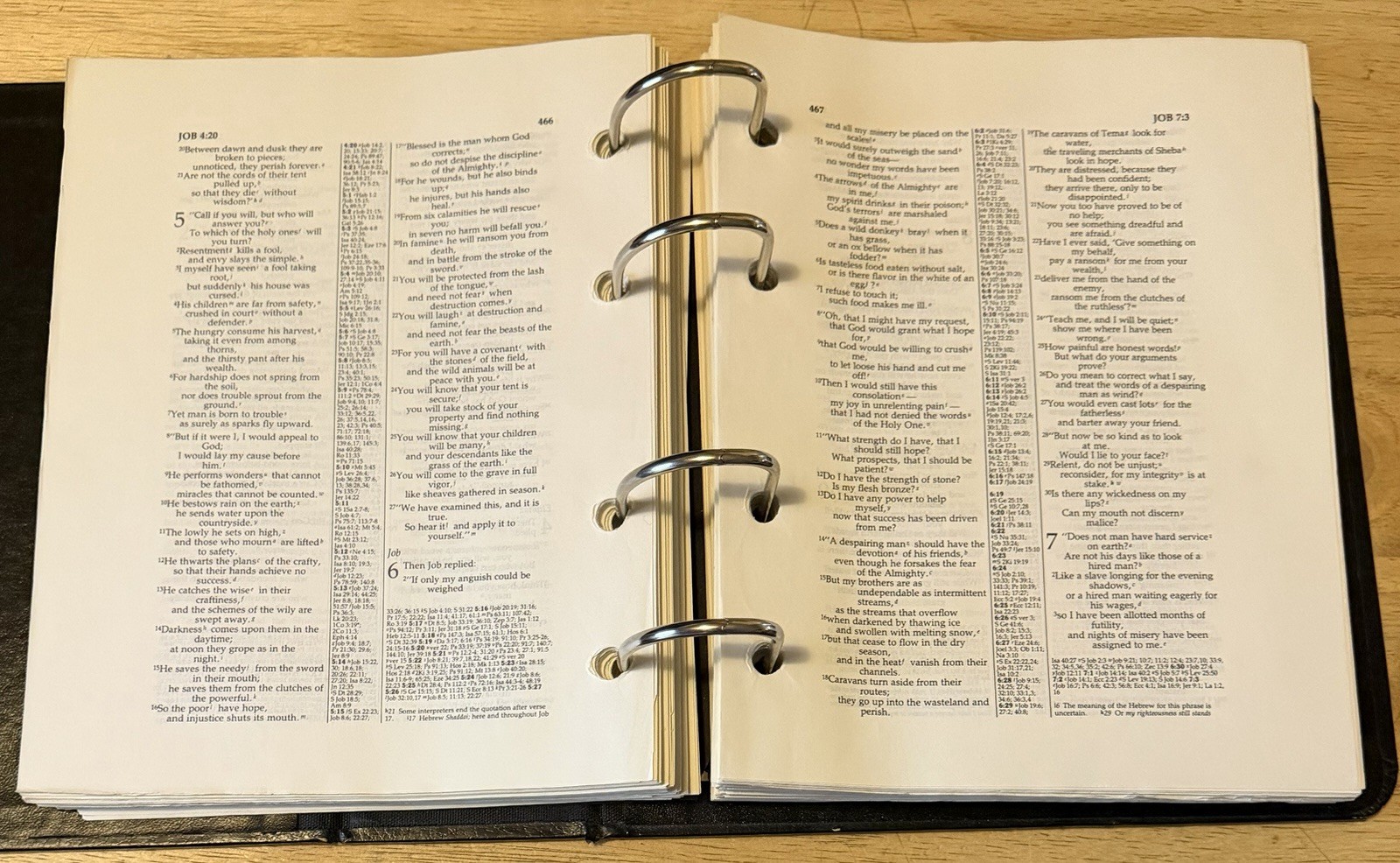 New International Version Bible: Cambridge Study Edition 1984 Loose Leaf Binder