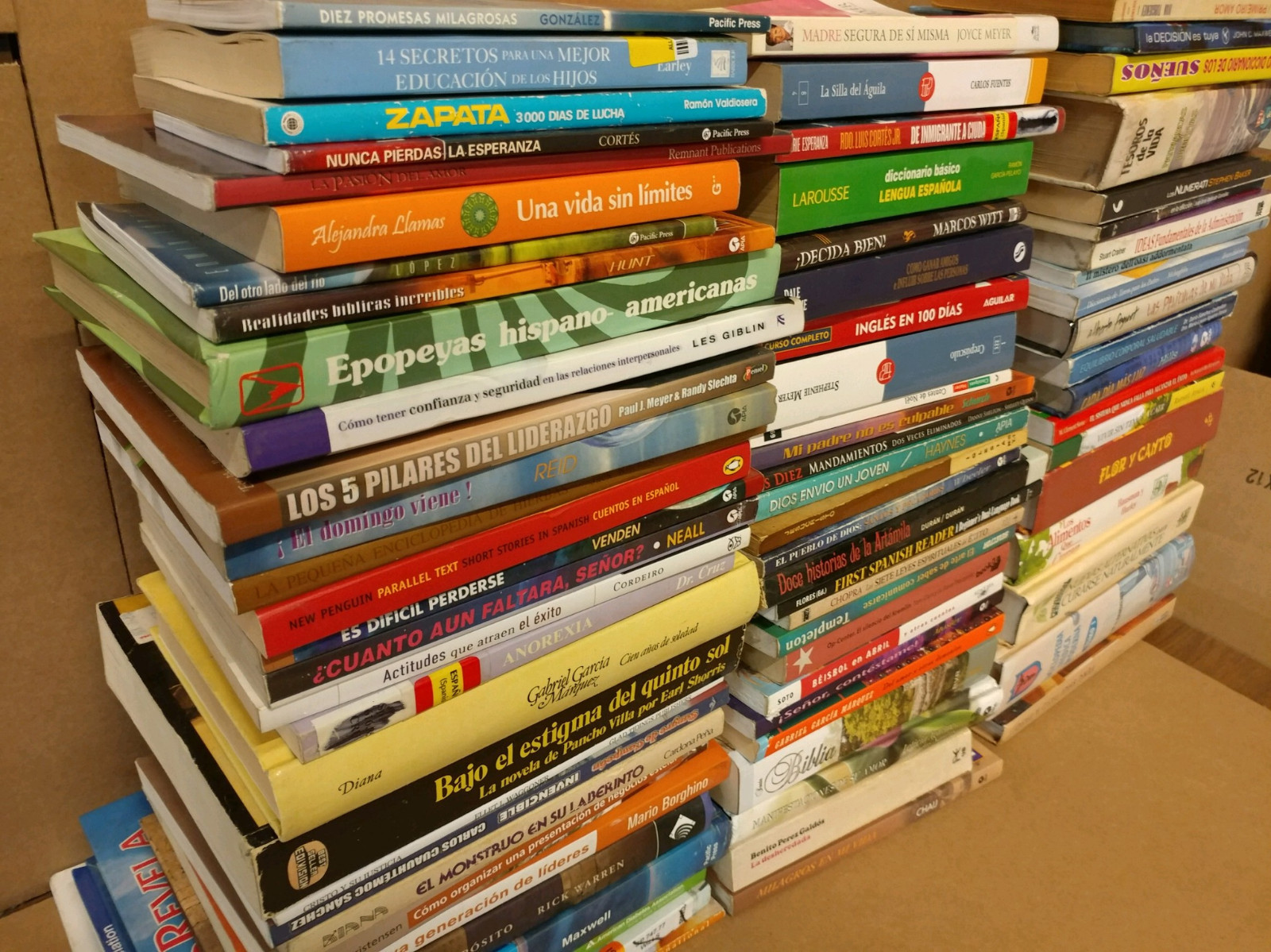 Lot of 20 Spanish ESPAÑOL Reading MEXICO Literature Books *RANDOM* UNSORTED MIX