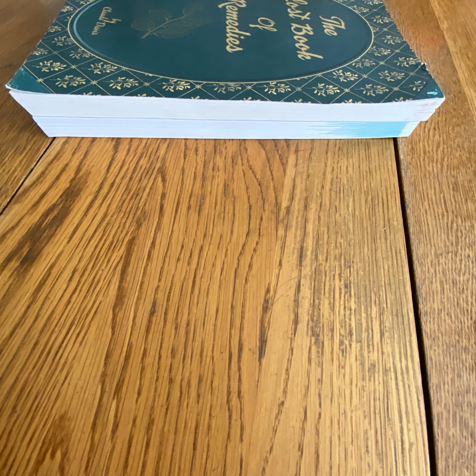 Holistic Guide to Wellness & Lost Book of Herbal Remedies Paperback