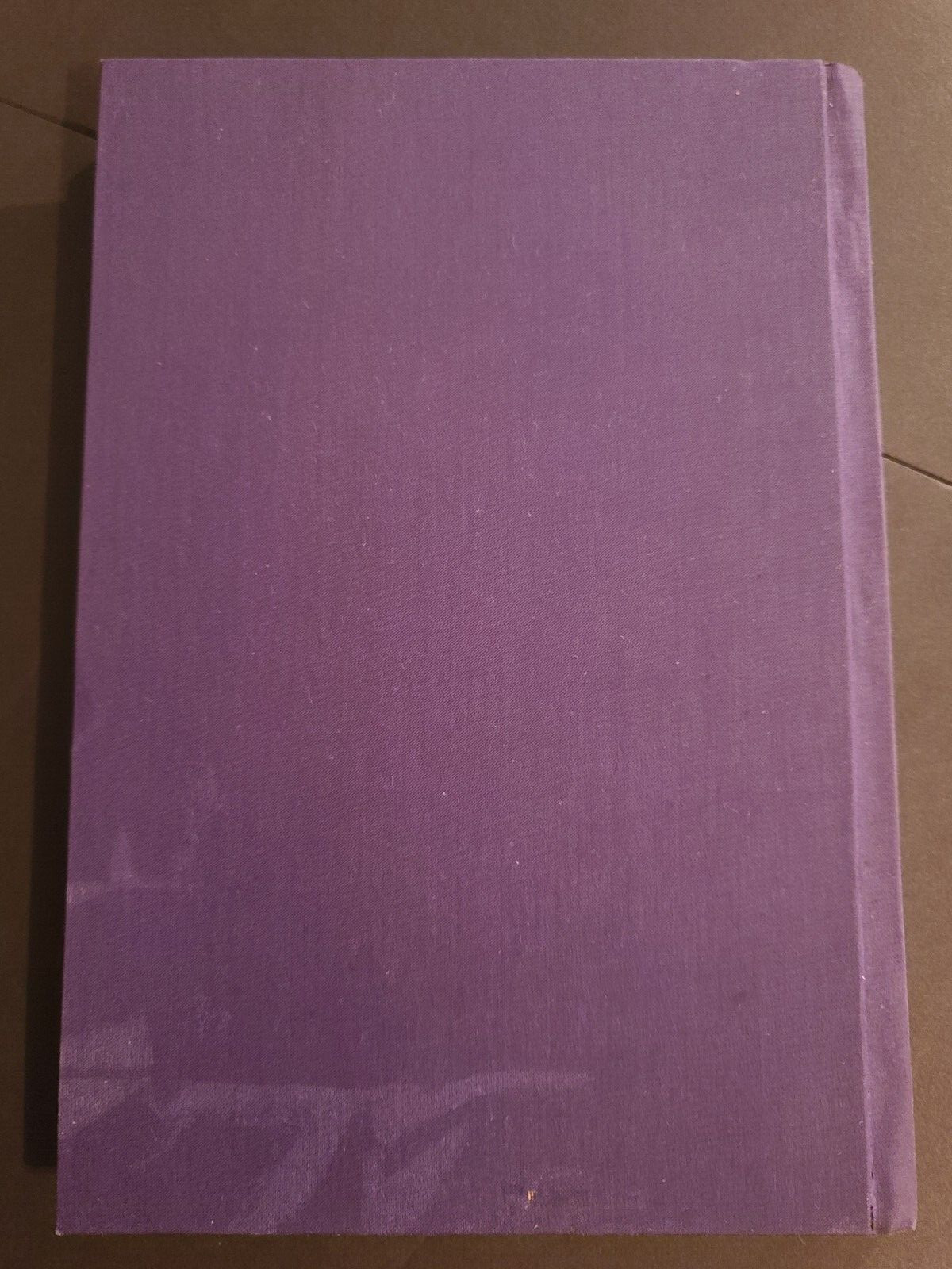 Johnstown Centennial 1800-1900 Book Published By Executive Committee 101 Pages