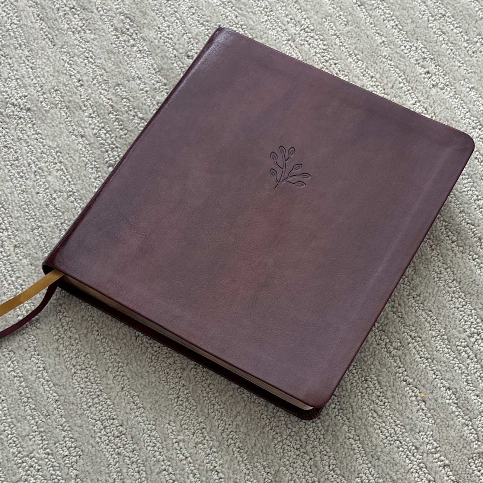 Zondervan Amplified Holy Bible XL Edition, Leather, English