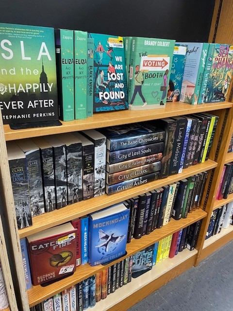 Lot of 10 Young Adult YA Books – Teen Fiction Novels Mixed Genres Bulk Lot