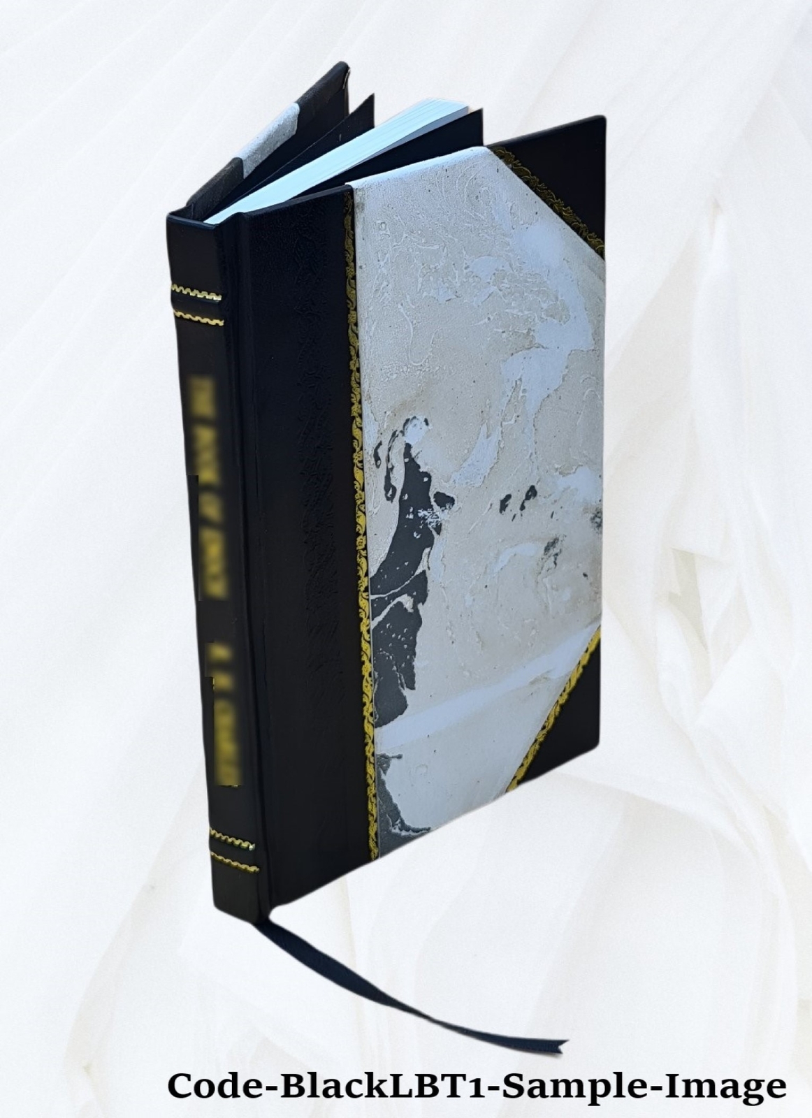 Humanitarianism Its General Principles And Progress 1906 [Leather Bound]