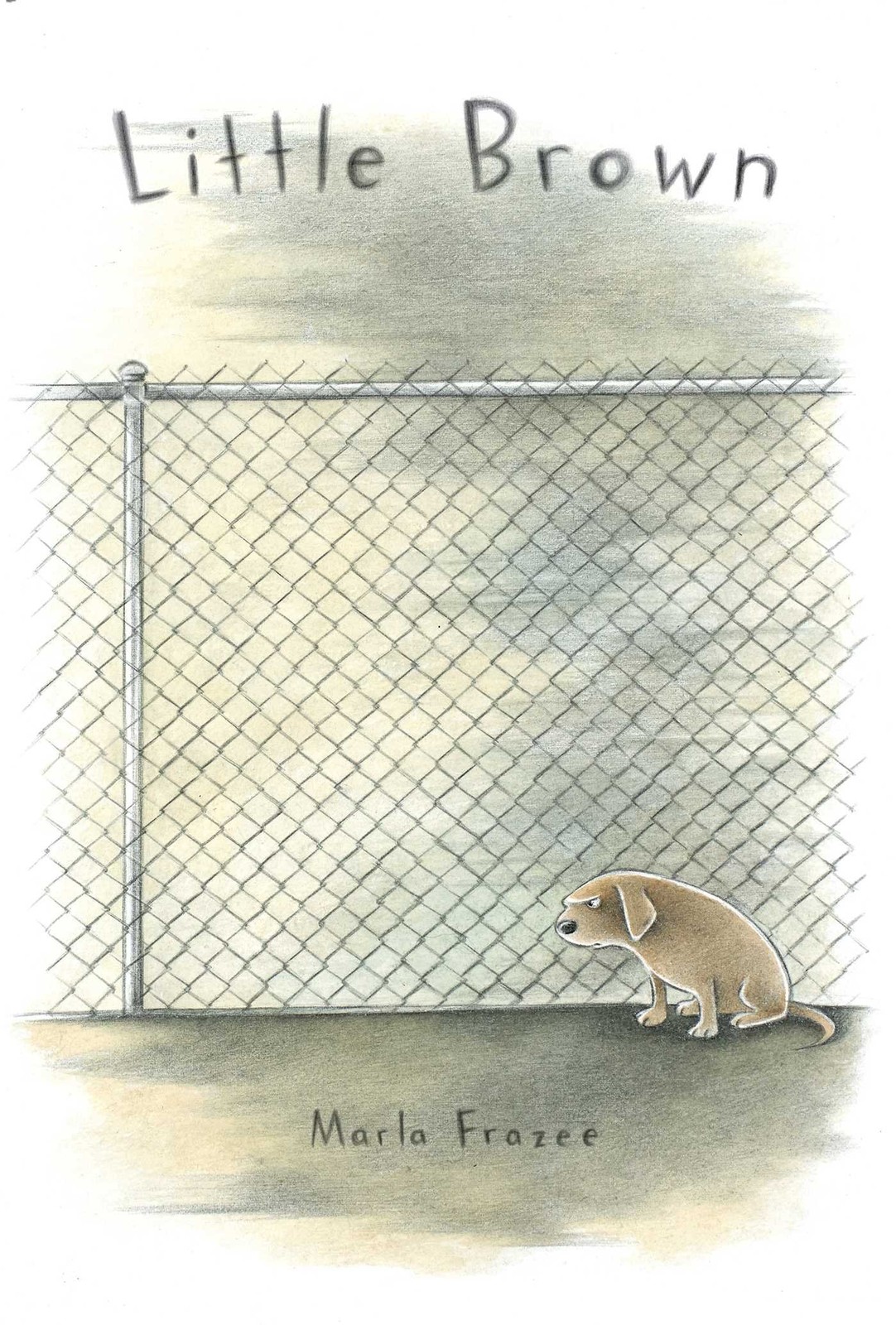 Little Brown – hardcover Frazee, Marla